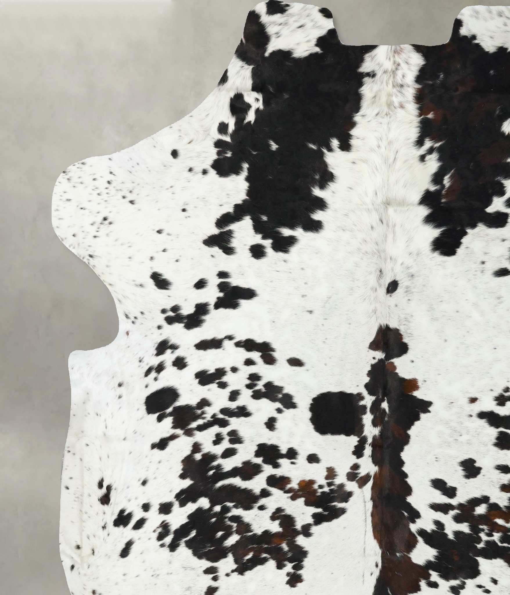 Tricolor Cowhide Rug #B23363