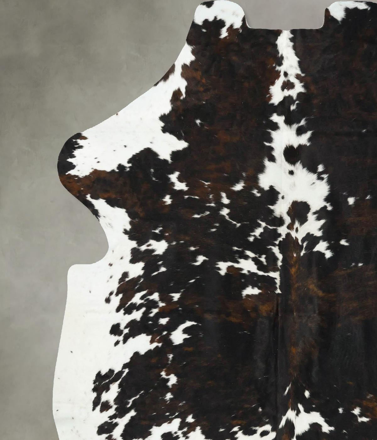 Tricolor XX-Large European Cowhide Rug 7'11"H x 7'1"W #B23365 by Hudson Hides