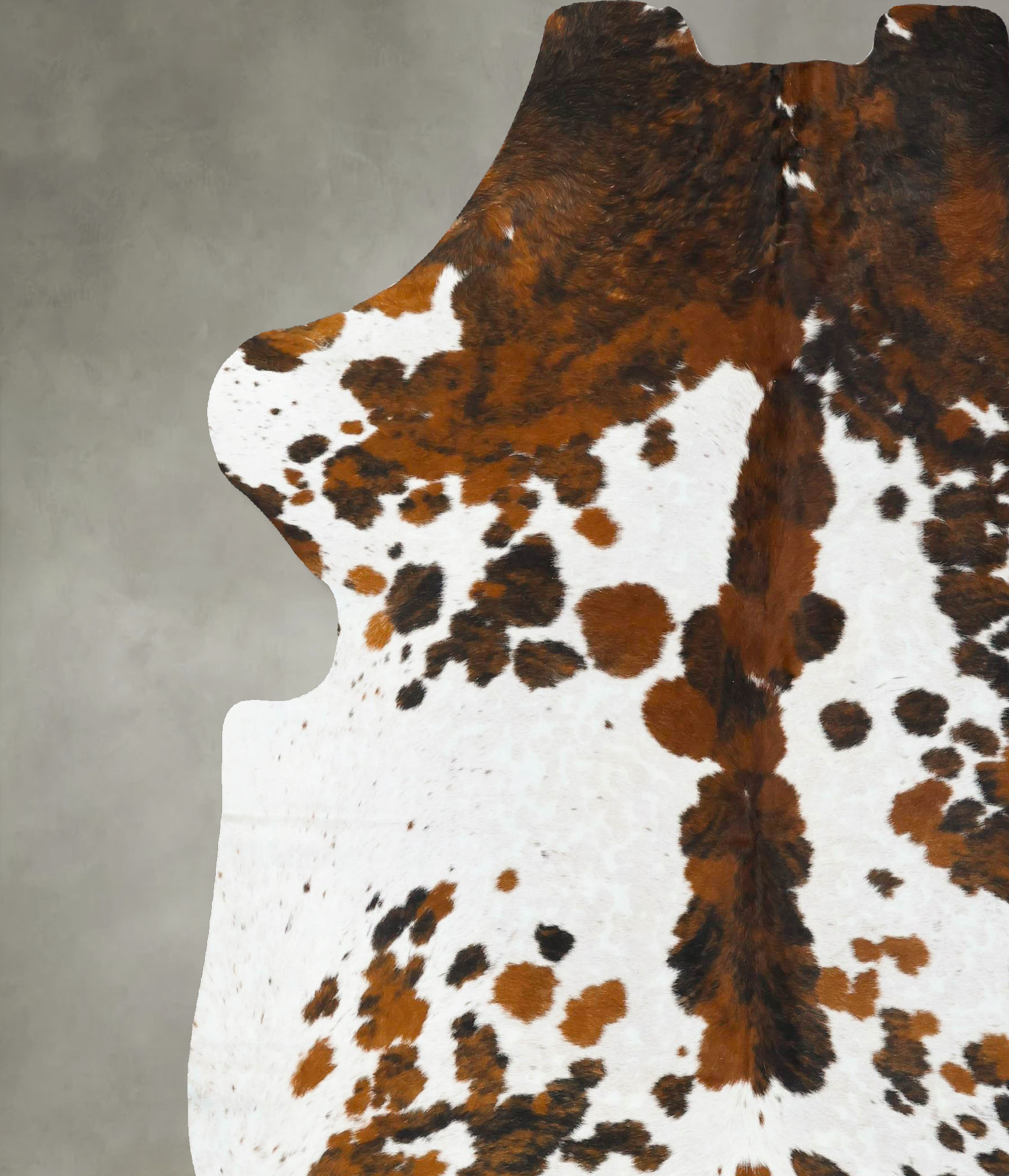 Tricolor Cowhide Rug #B23366