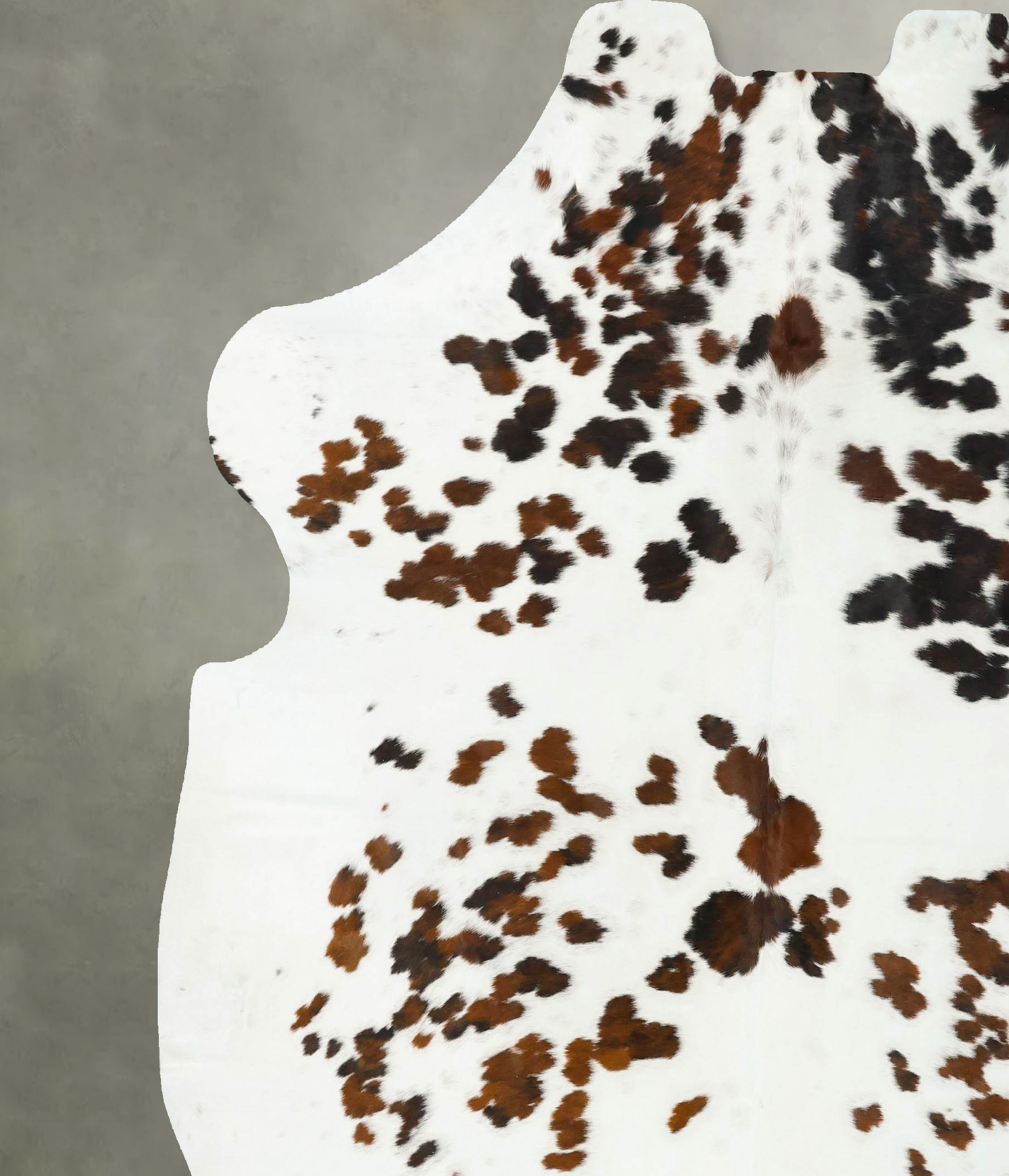 Tricolor Cowhide Rug #B23367