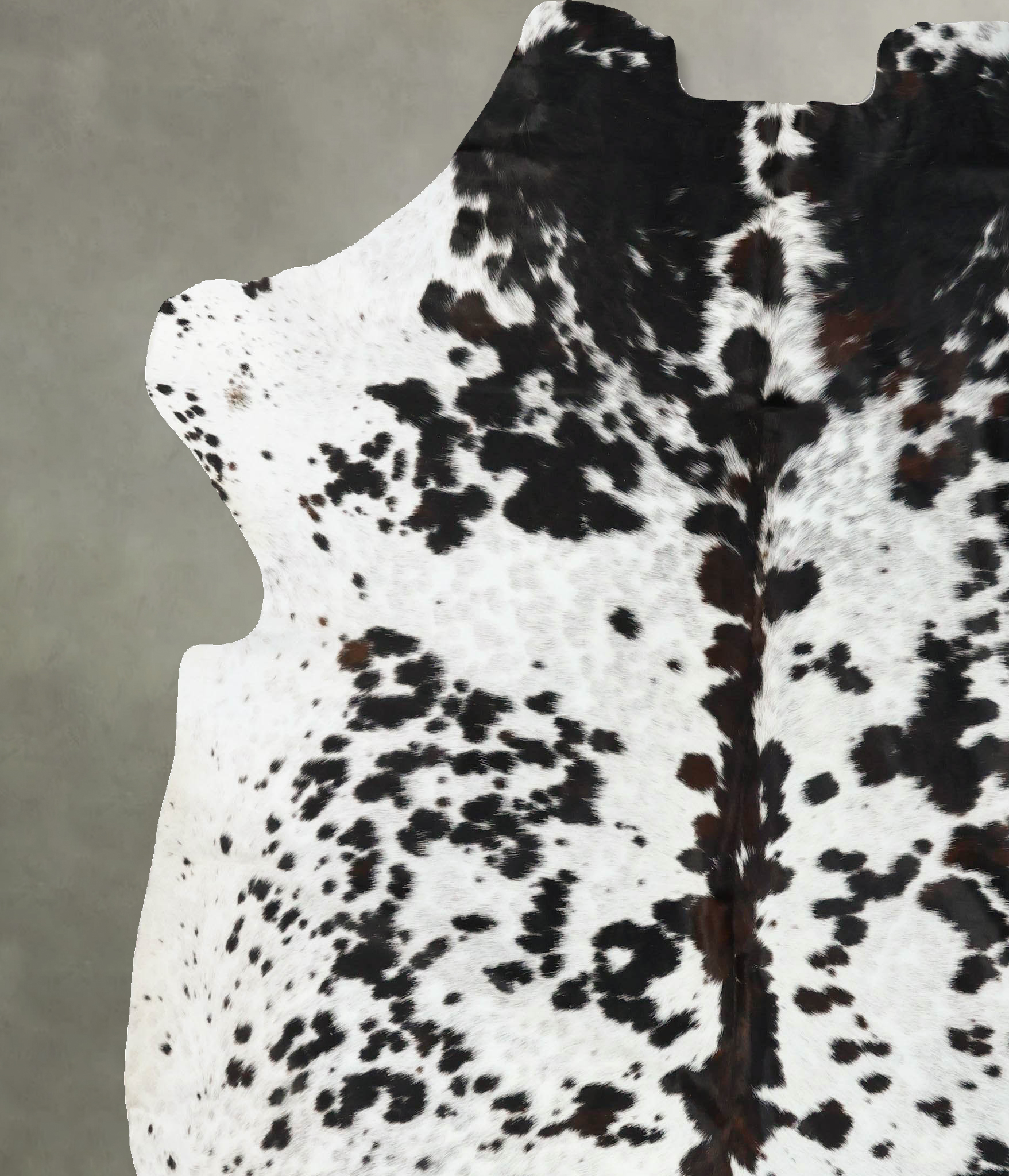 Tricolor Cowhide Rug #B23371