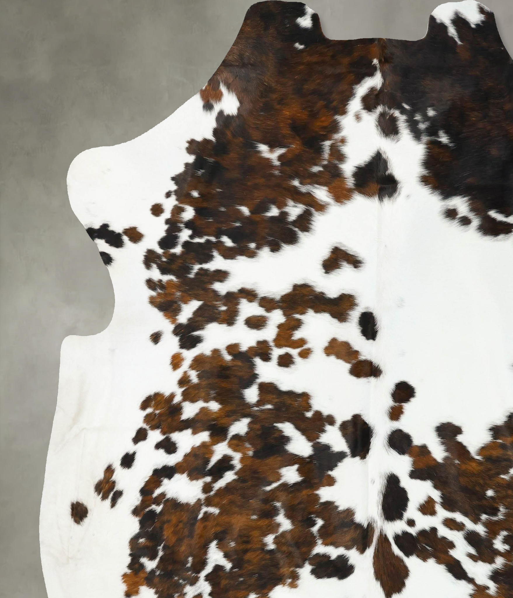 Tricolor Cowhide Rug #B23374