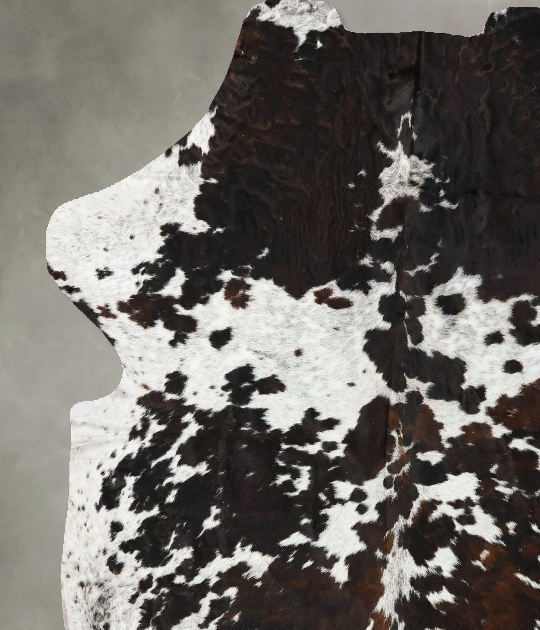 Tricolor Cowhide Rug #B23377