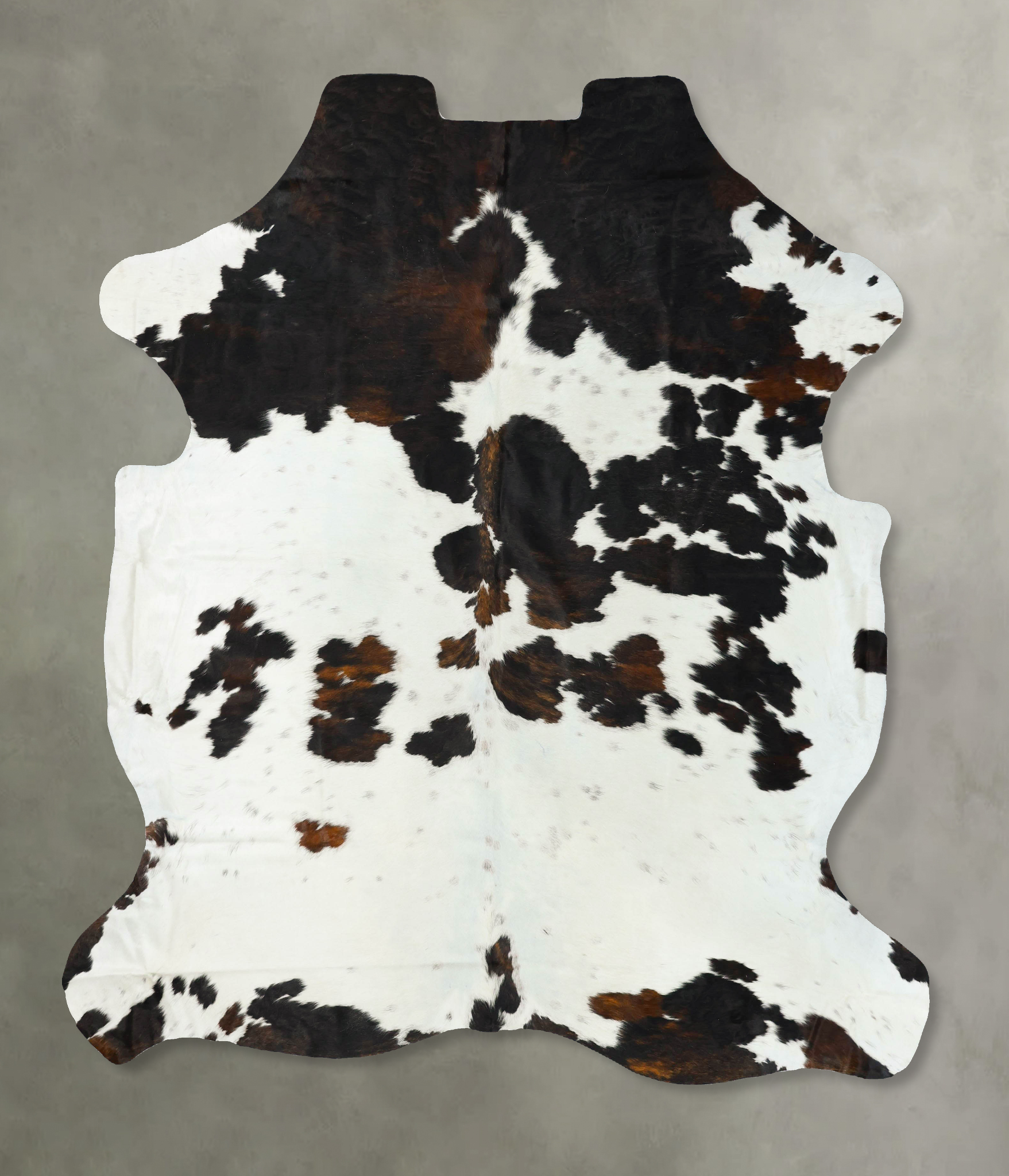 Tricolor Cowhide Rug #B23378