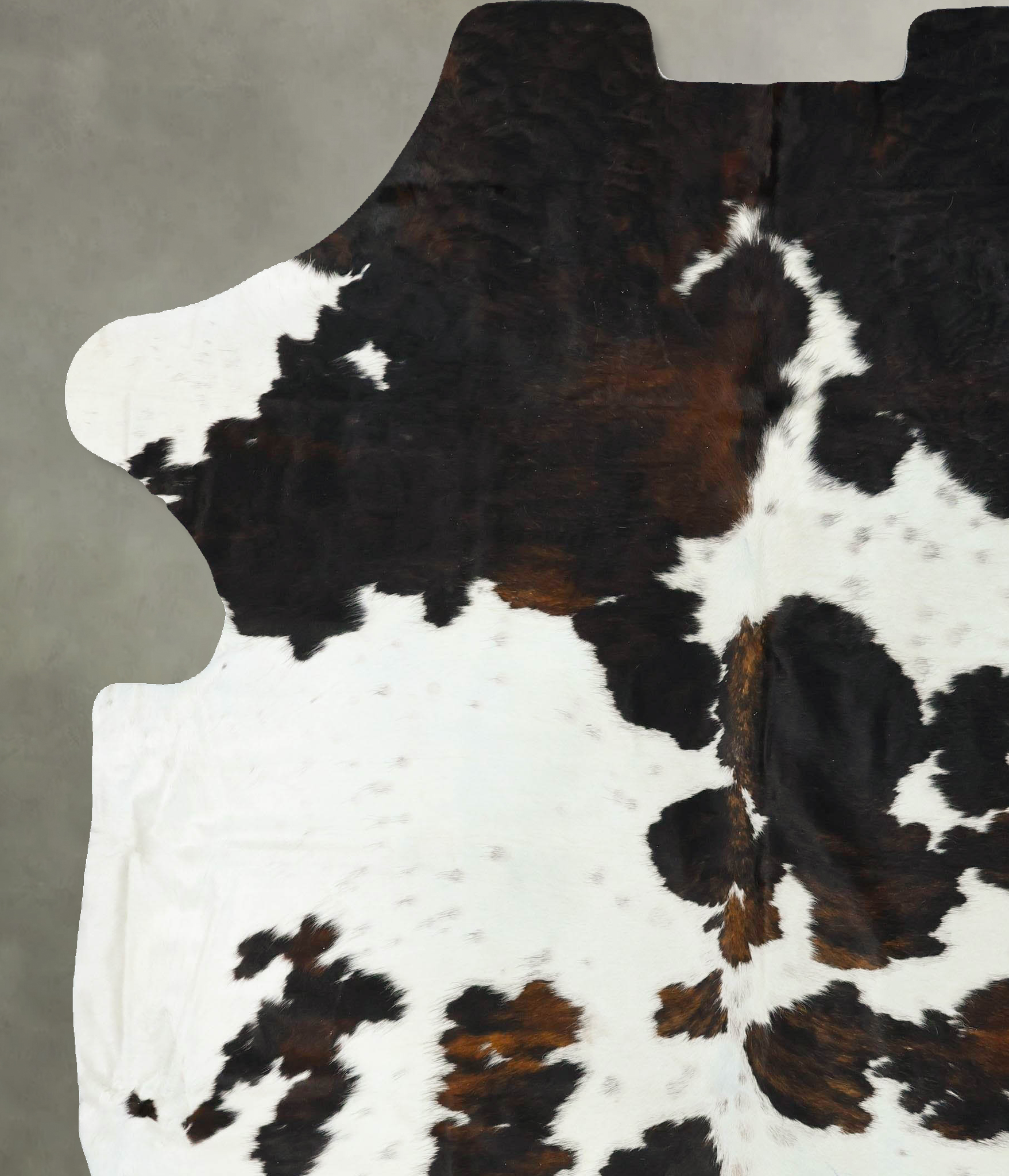 Tricolor Cowhide Rug #B23378