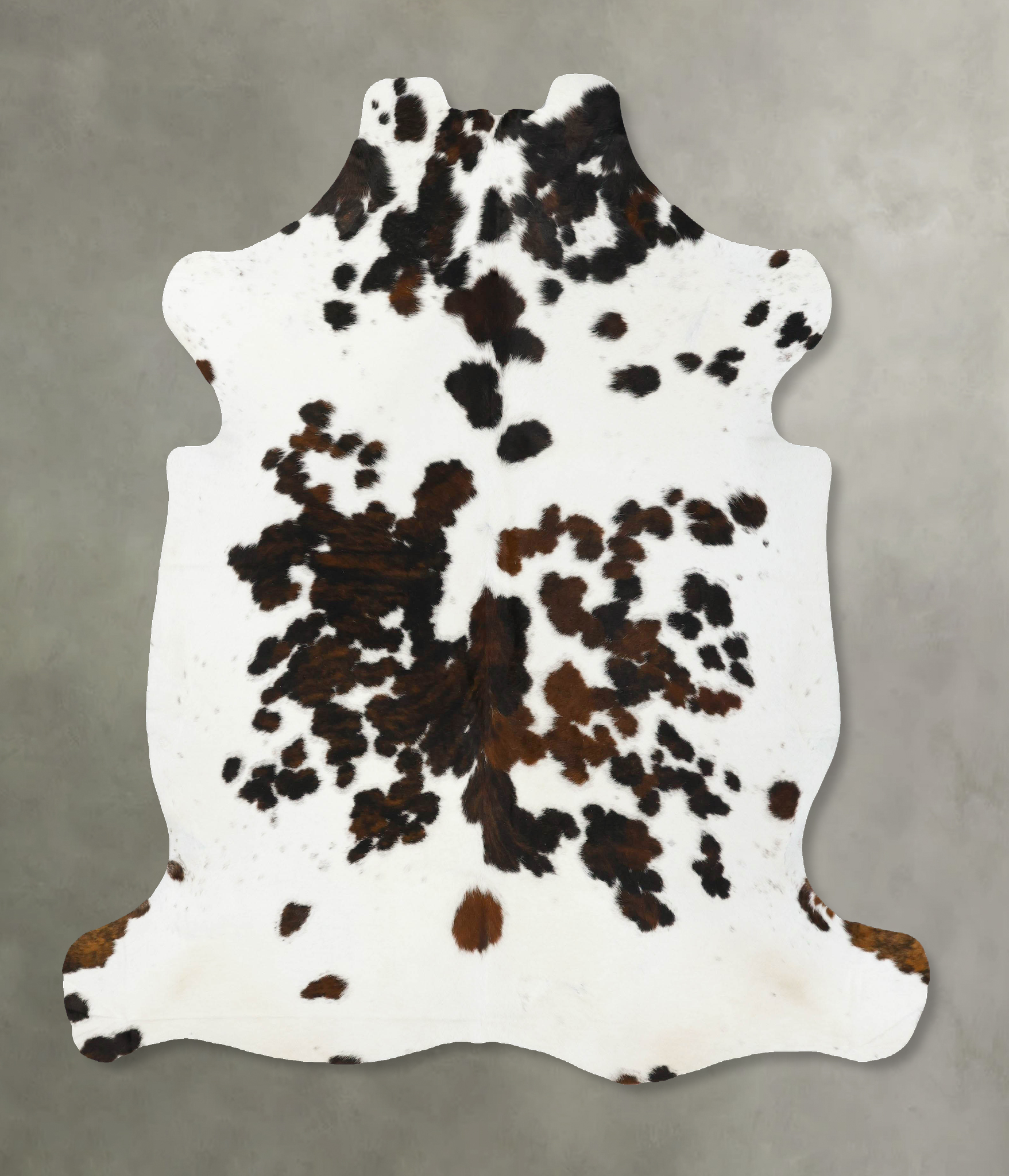 Tricolor Cowhide Rug #B23380