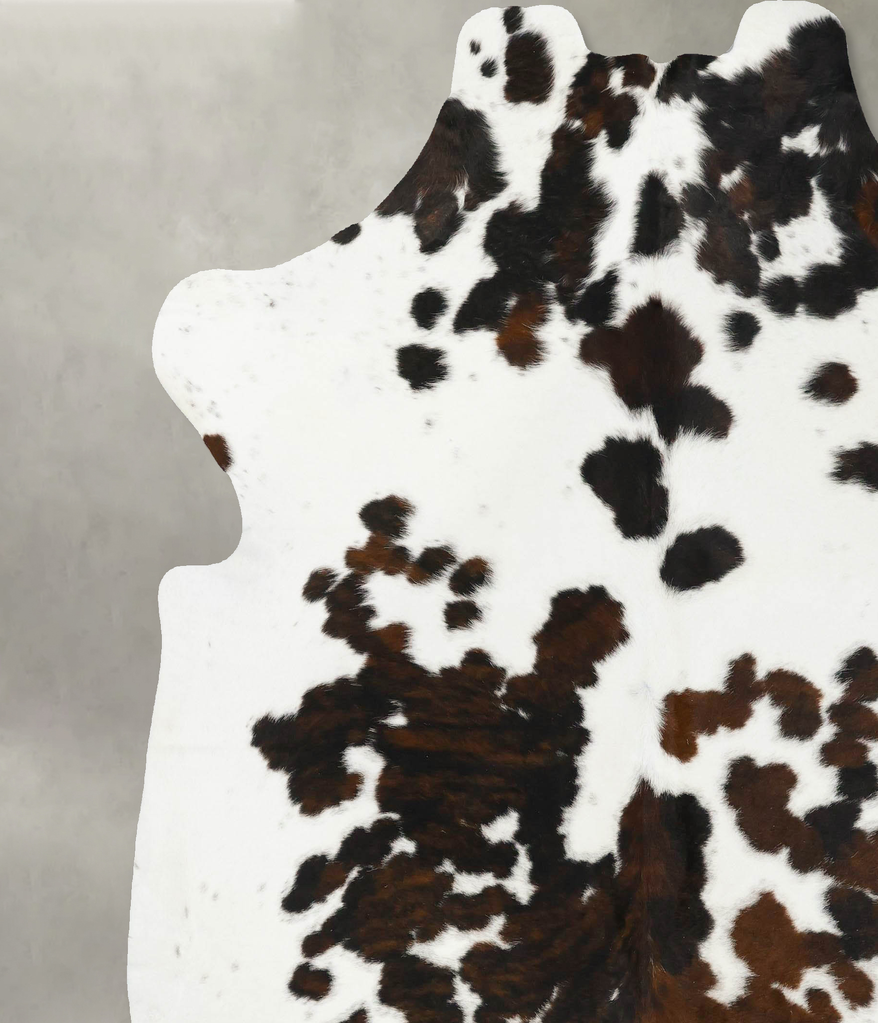 Tricolor Cowhide Rug #B23380