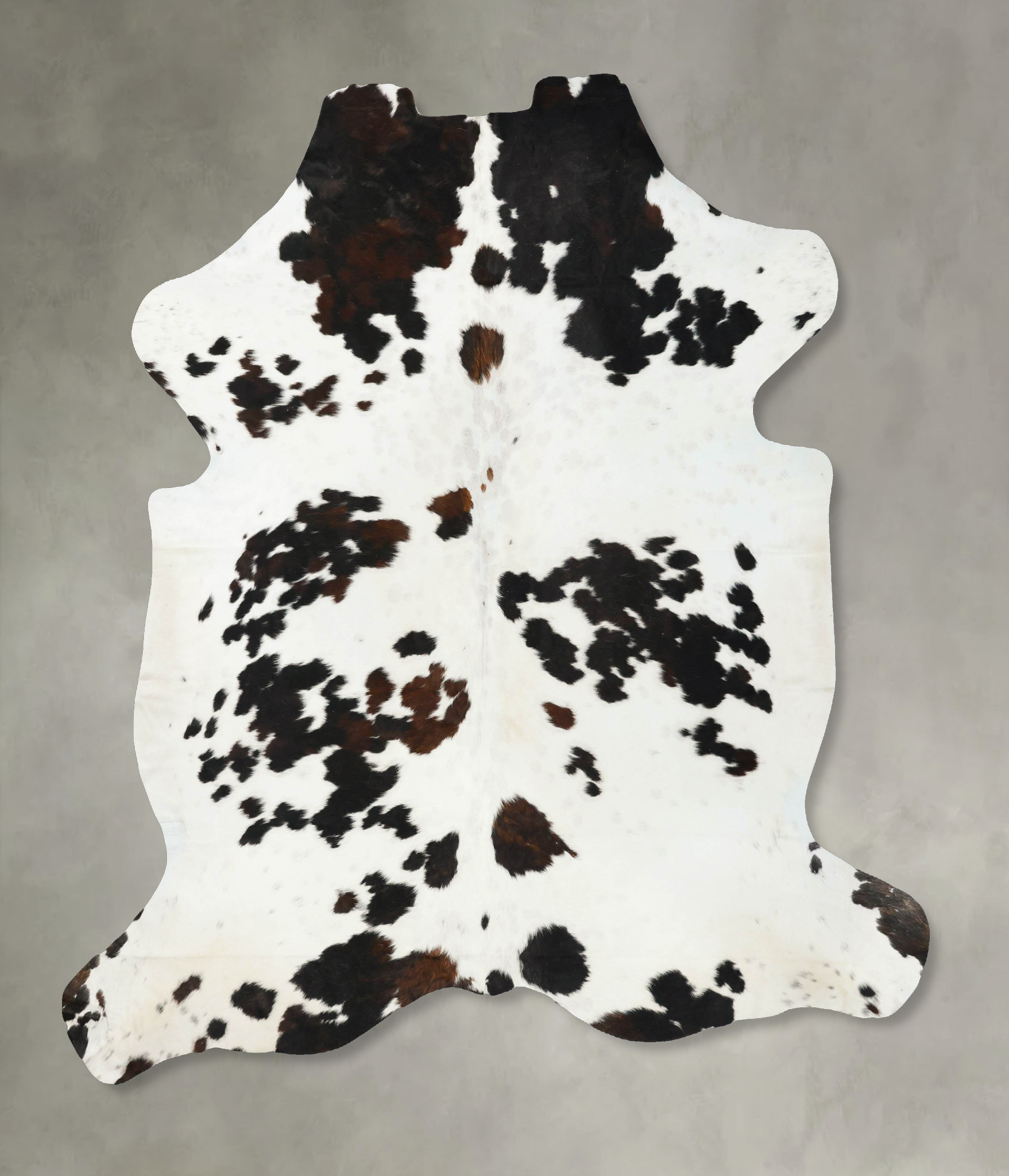 Tricolor Cowhide Rug #B23382