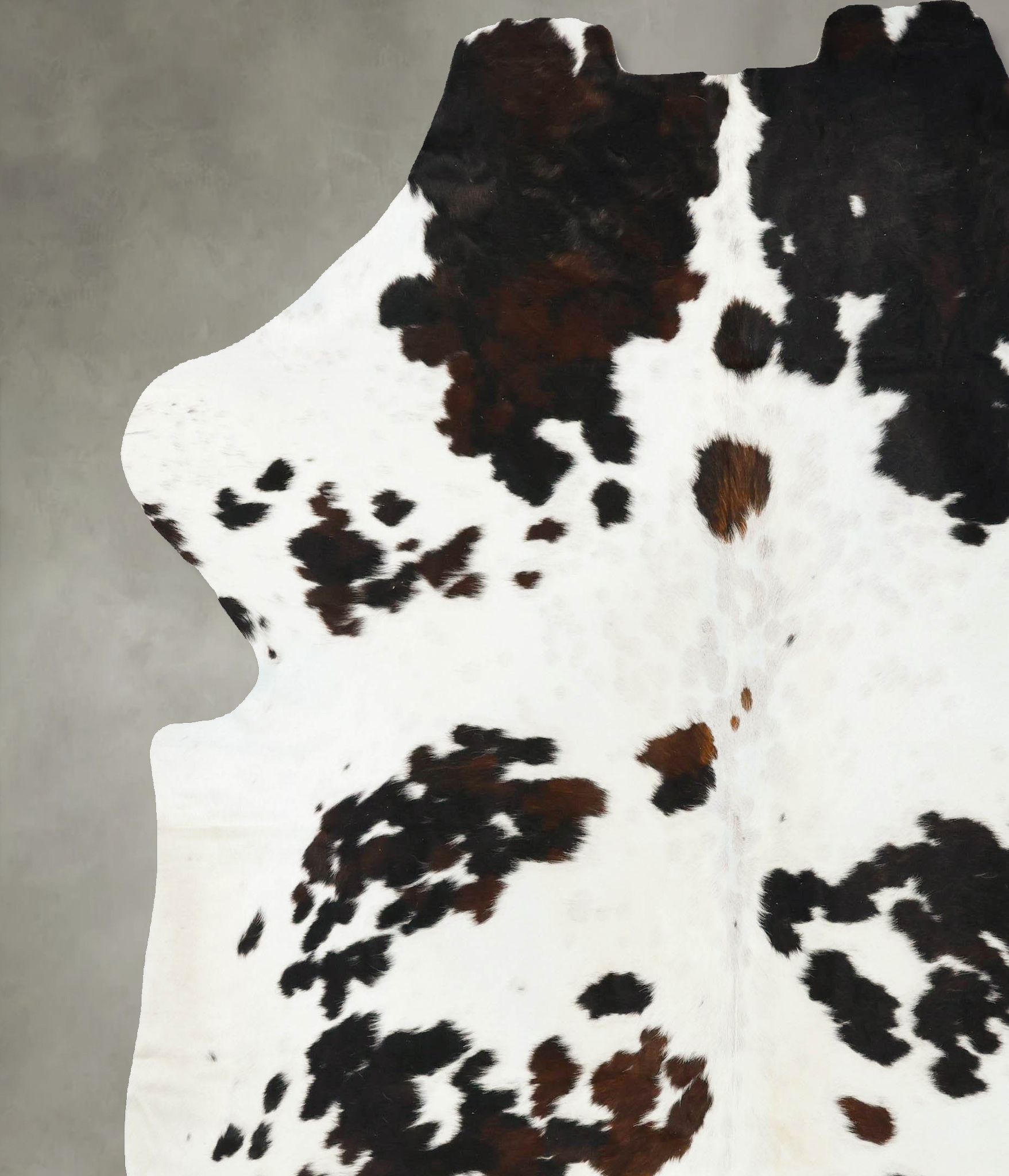 Tricolor Cowhide Rug #B23382