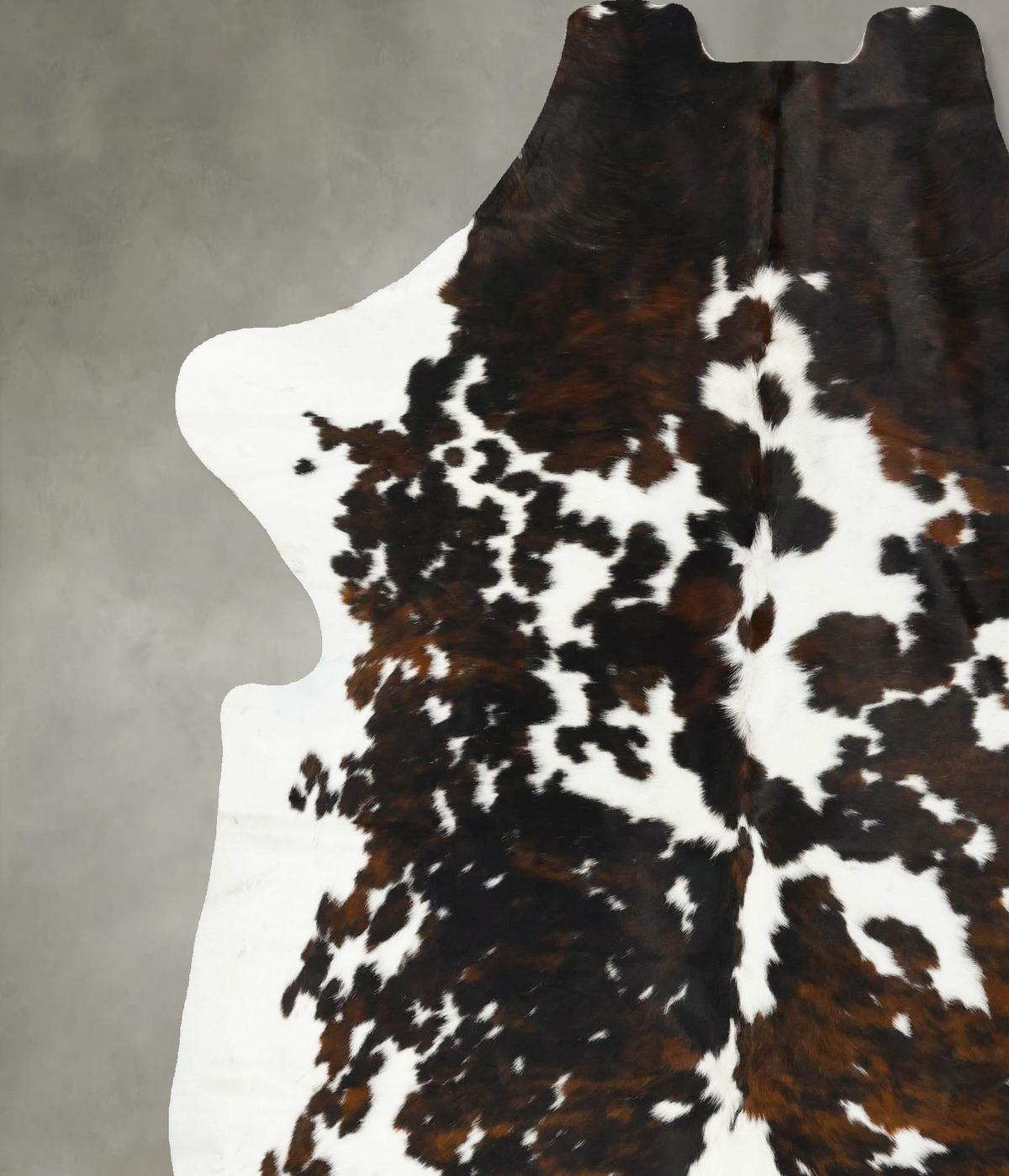 Tricolor XX-Large European Cowhide Rug 7'9"H x 6'6"W #B23383 by Hudson Hides
