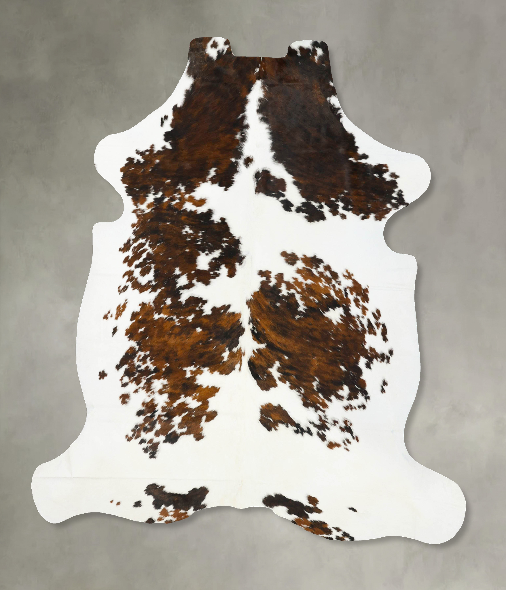 Tricolor Cowhide Rug #B23385