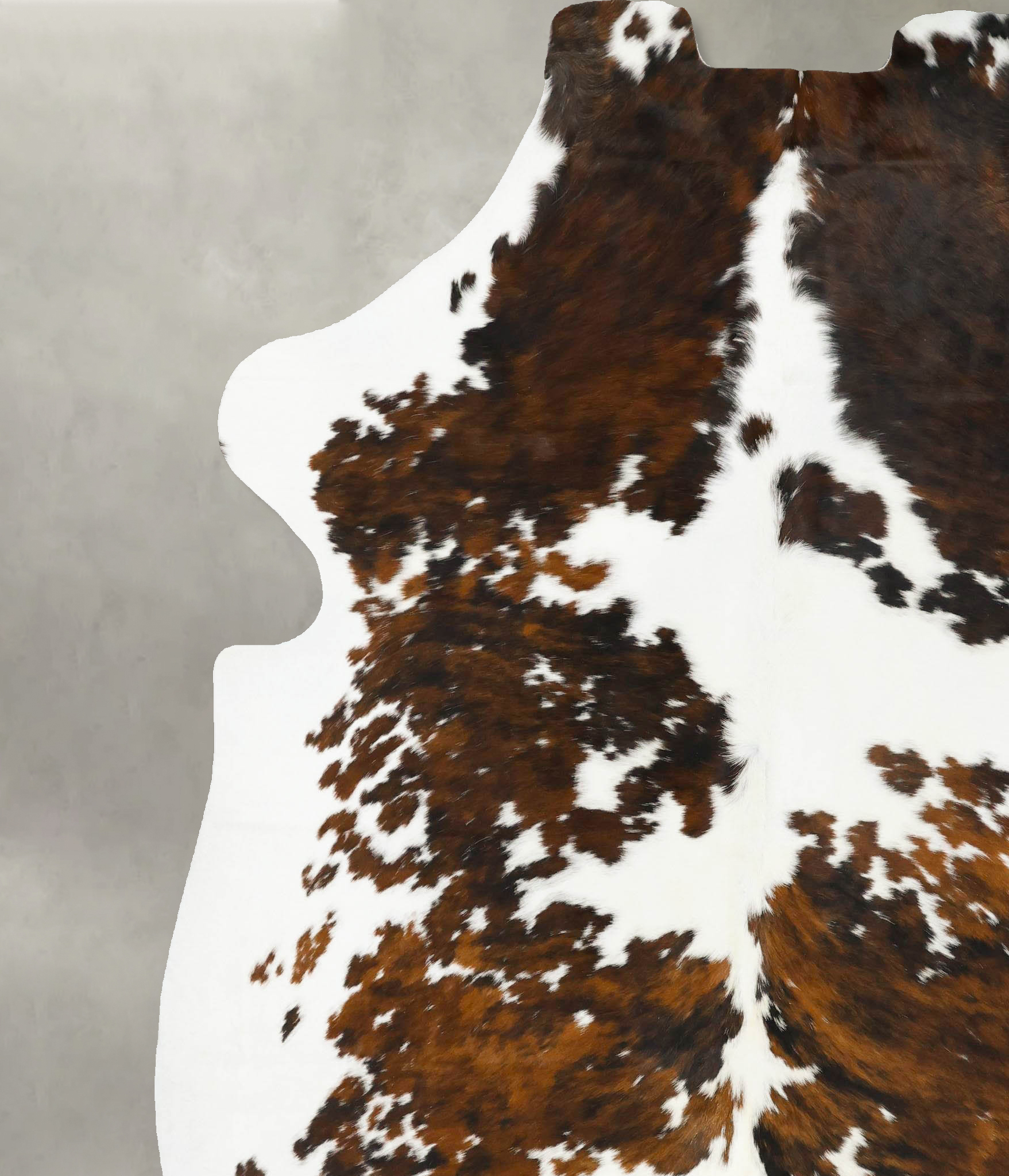 Tricolor Cowhide Rug #B23385