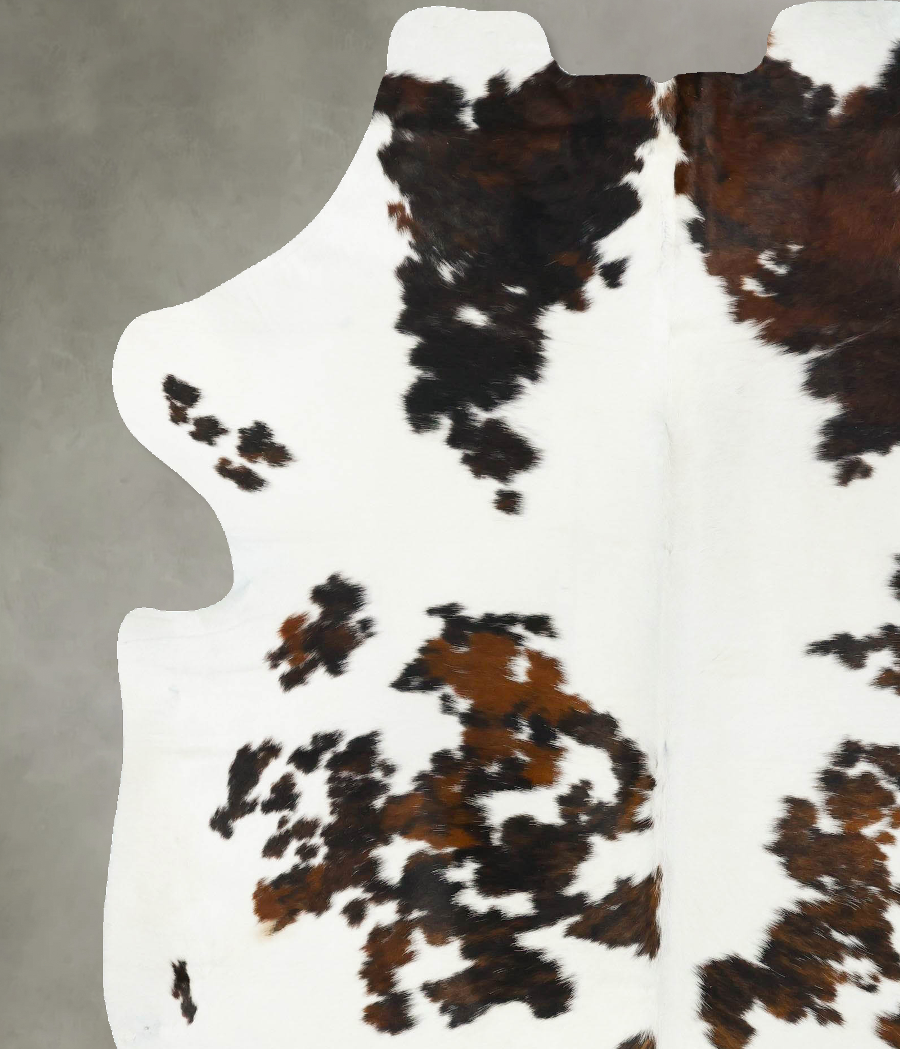 Tricolor Cowhide Rug #B23386