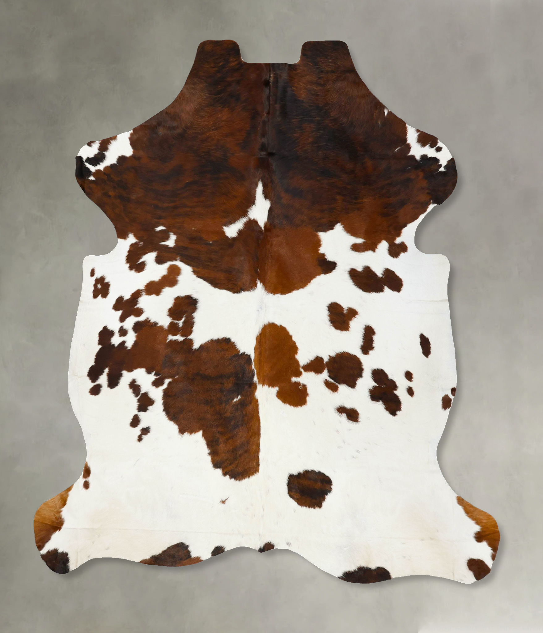 Tricolor Cowhide Rug #B23387