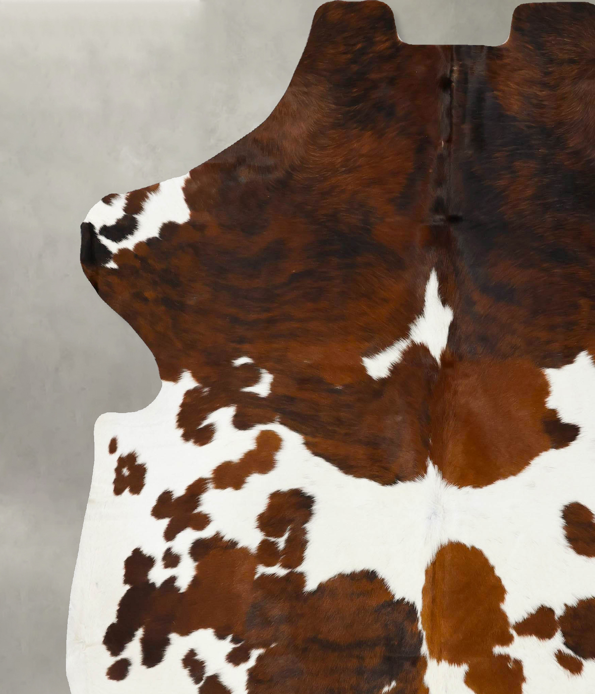 Tricolor XX-Large European Cowhide Rug 7'11"H x 6'10"W #B23387 by Hudson Hides