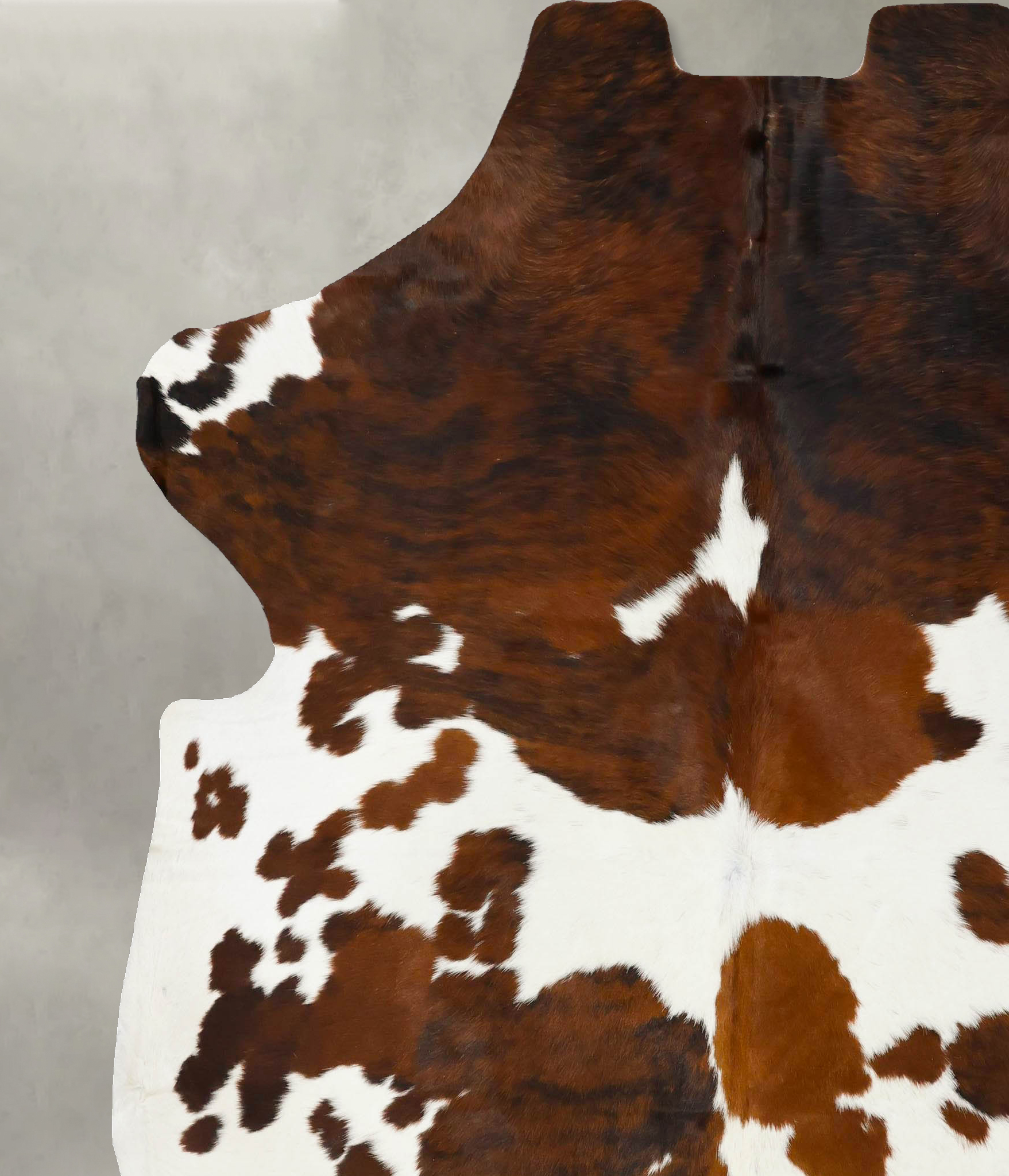 Tricolor Cowhide Rug #B23387