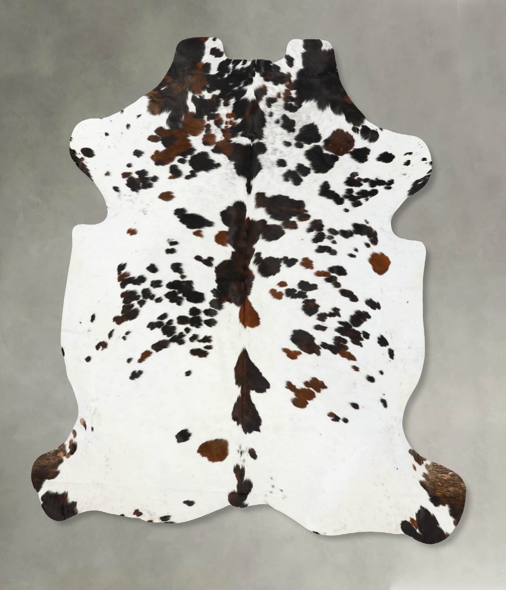 Tricolor Cowhide Rug #B23388