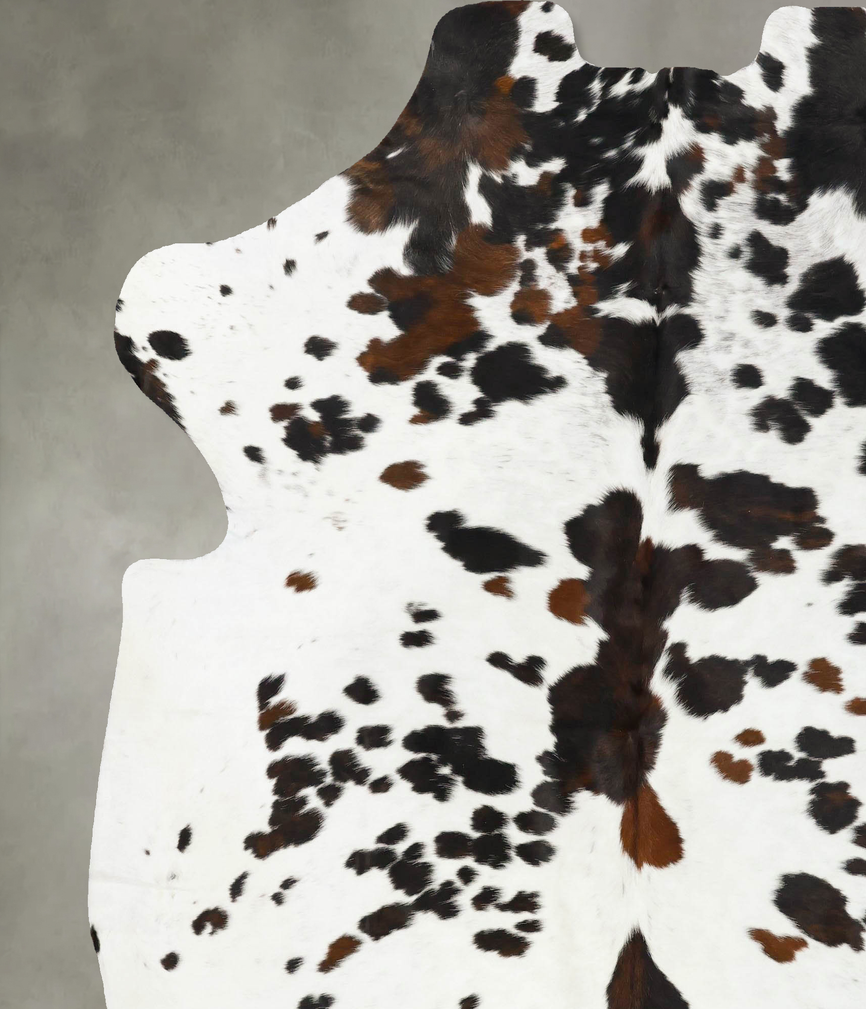 Tricolor Cowhide Rug #B23388