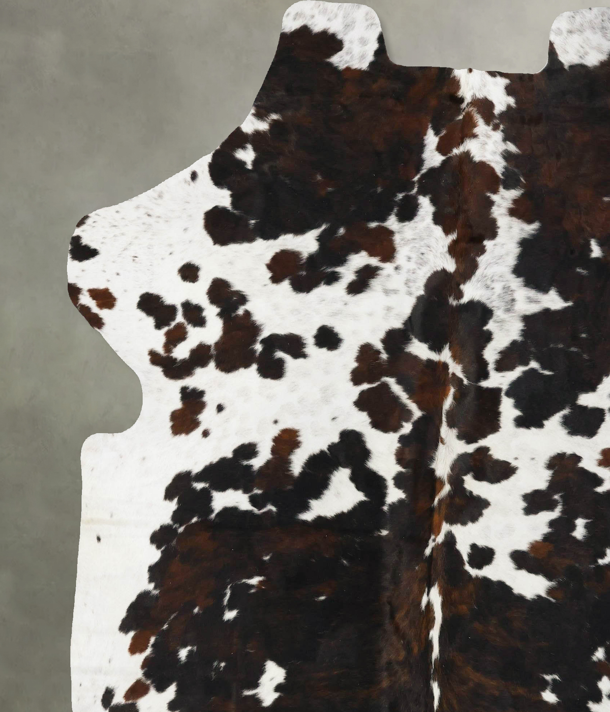 Tricolor XX-Large European Cowhide Rug 7'9"H x 6'7"W #B23389 by Hudson Hides