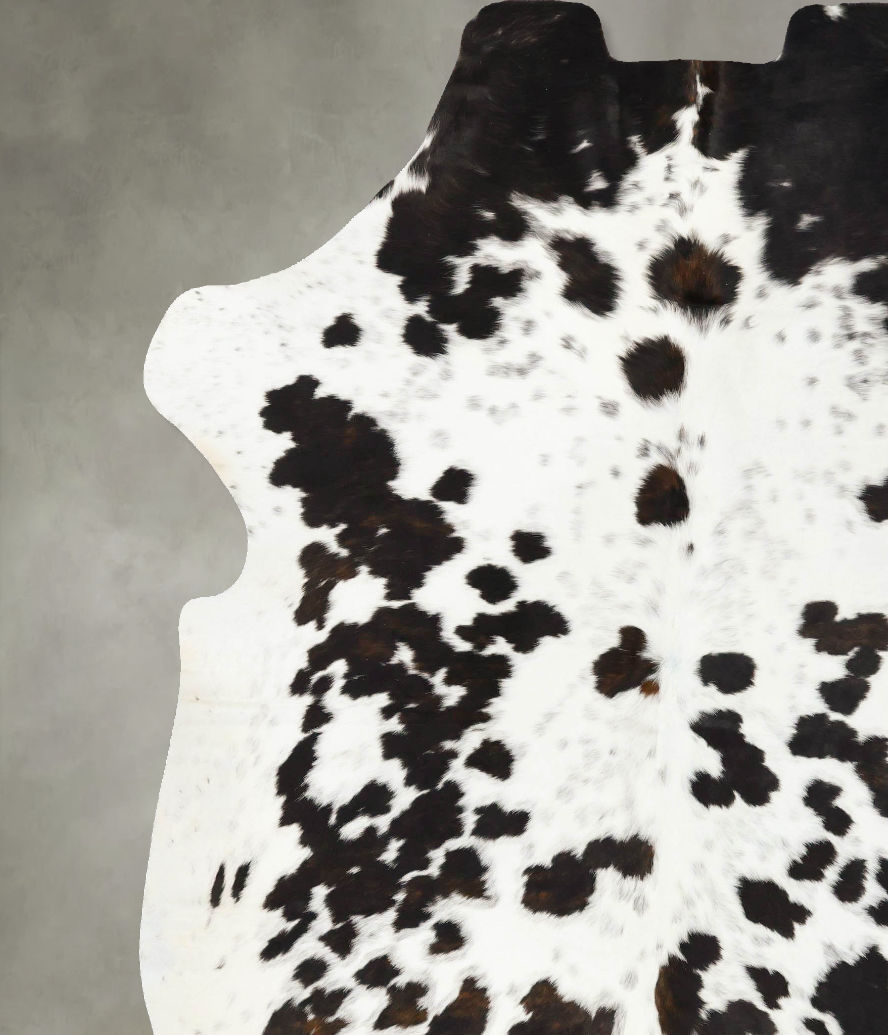 Tricolor Cowhide Rug #B23390
