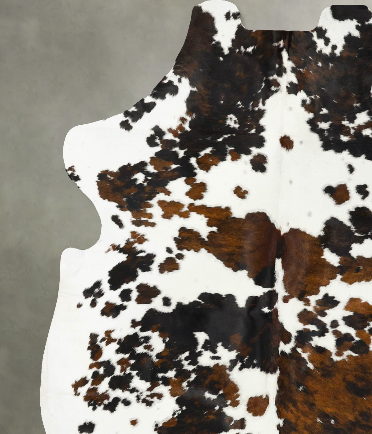 Tricolor XX-Large European Cowhide Rug 8'3"H x 6'11"W #B23392 by Hudson Hides