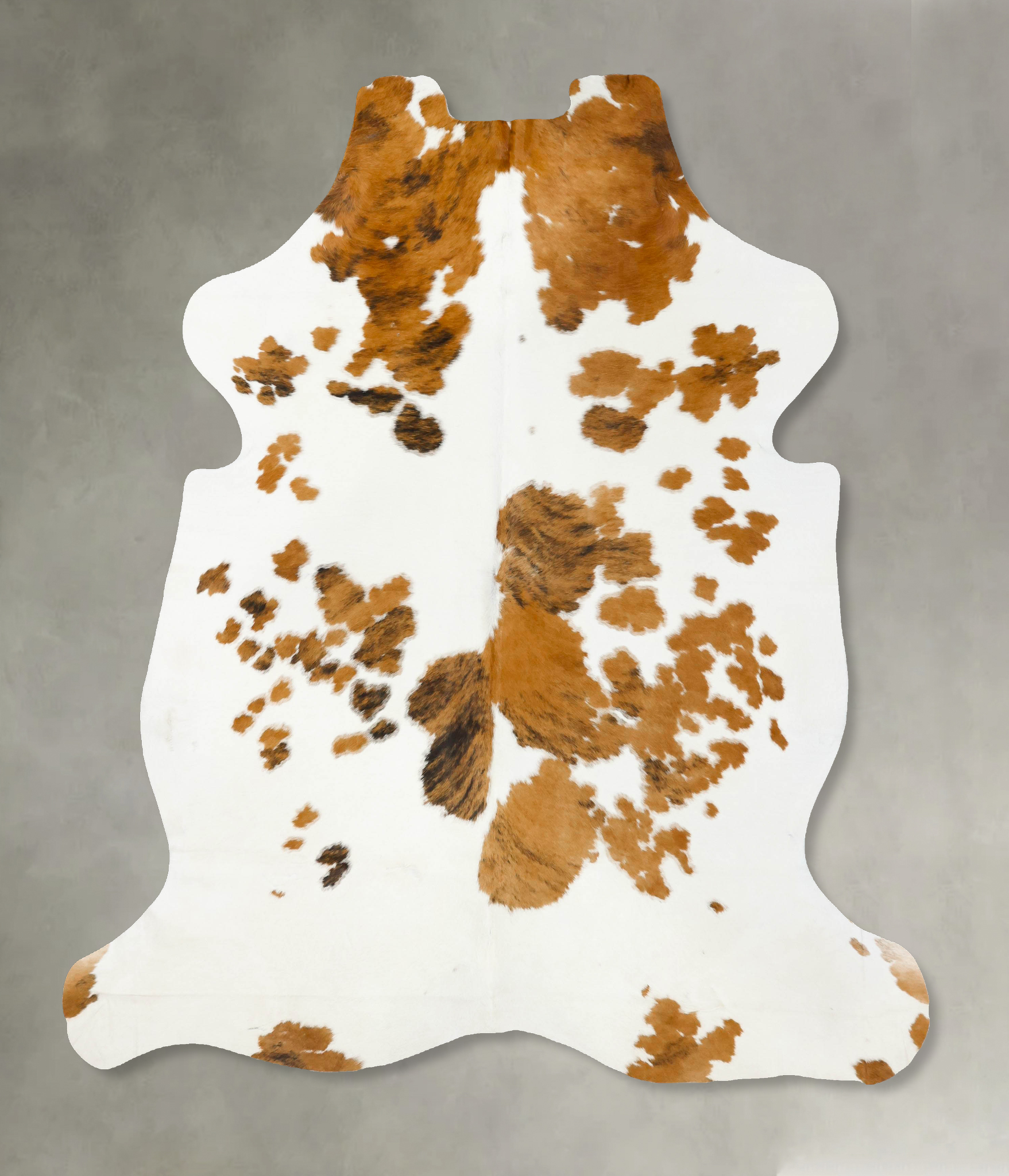 Tricolor Cowhide Rug #B23397
