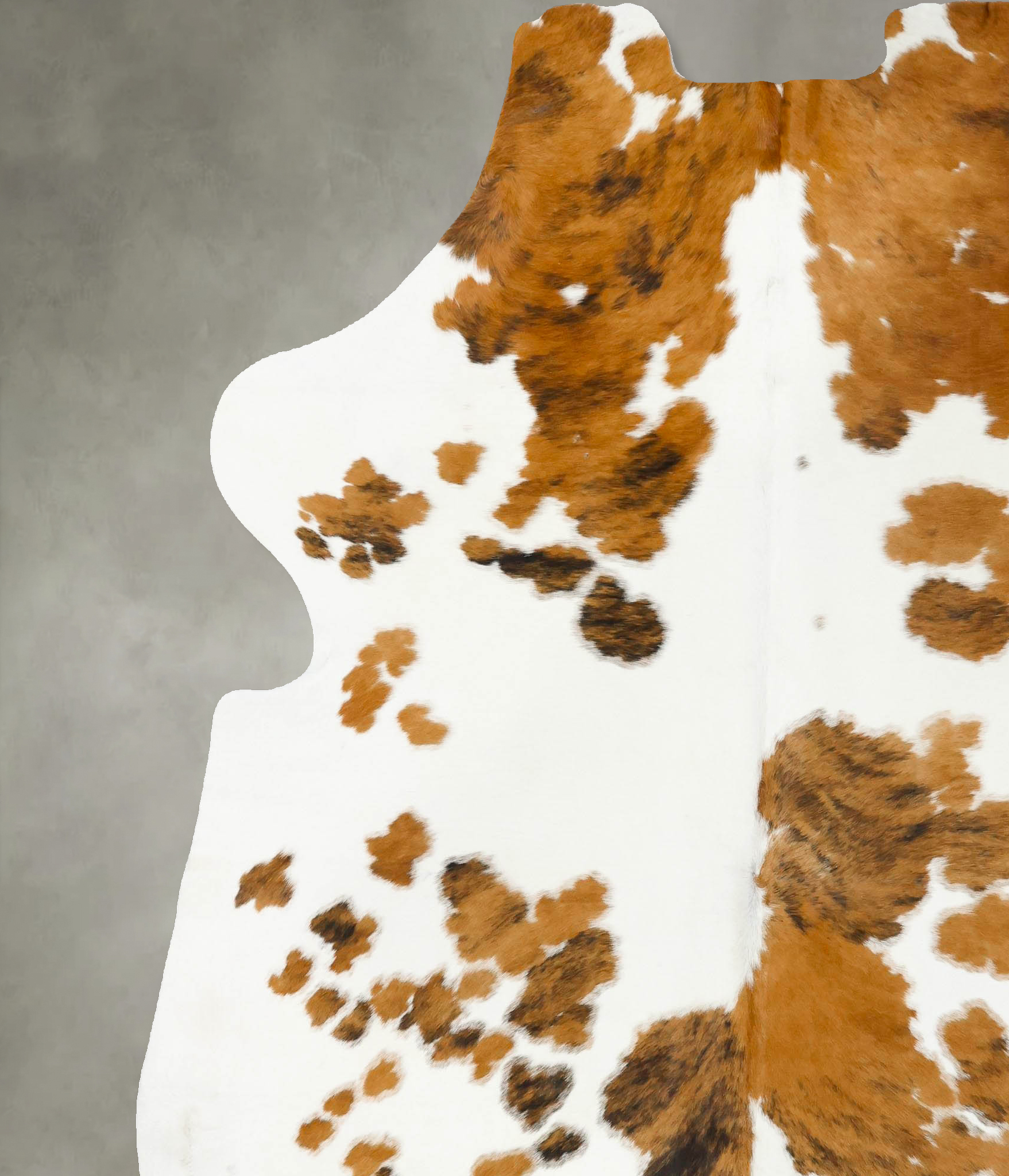 Tricolor Cowhide Rug #B23397