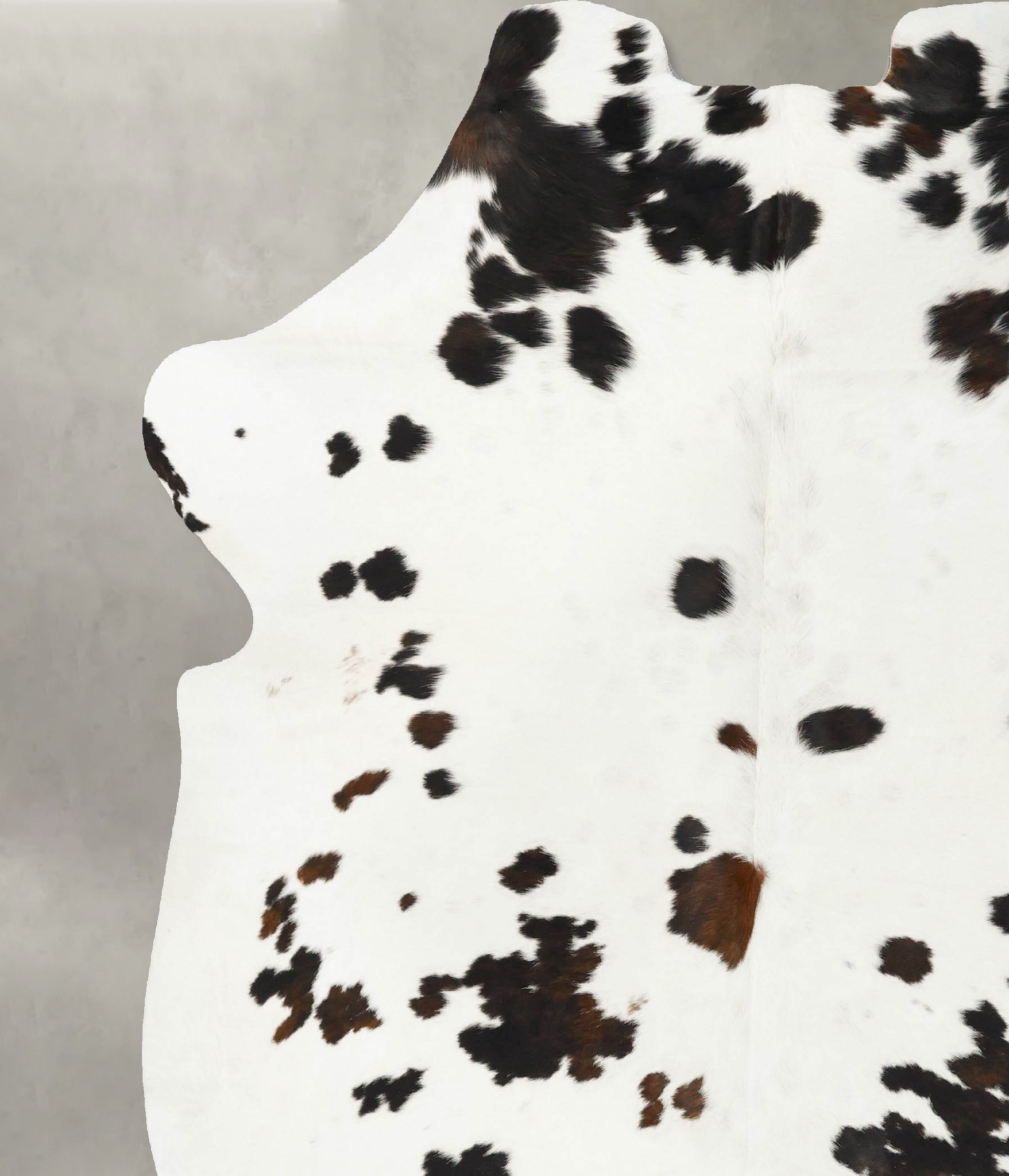 Tricolor Cowhide Rug #B23402
