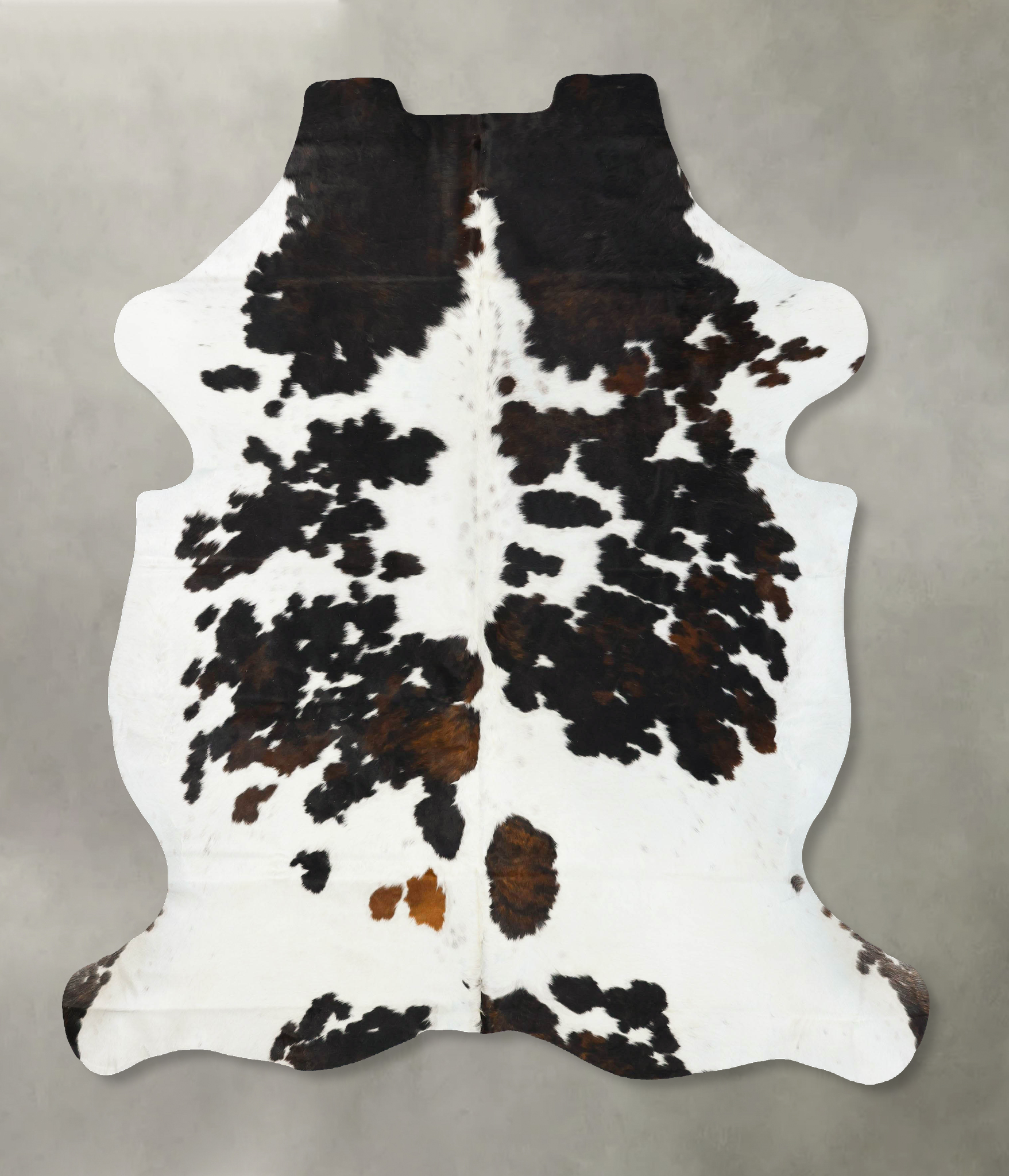 Tricolor Cowhide Rug #B23403