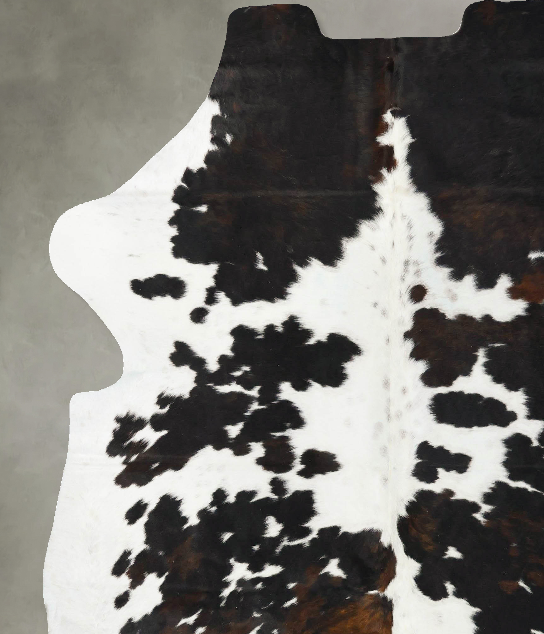 Tricolor Cowhide Rug #B23403