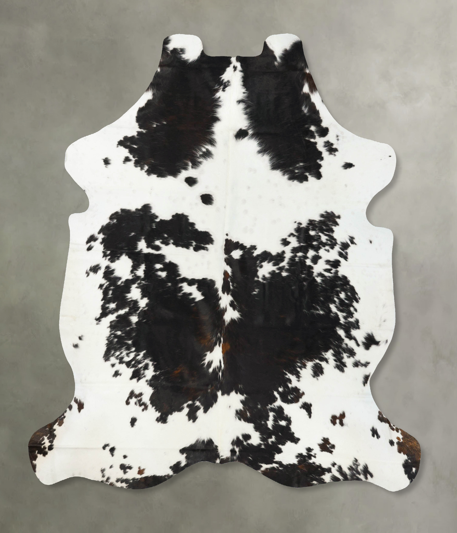 Tricolor Cowhide Rug #B23404
