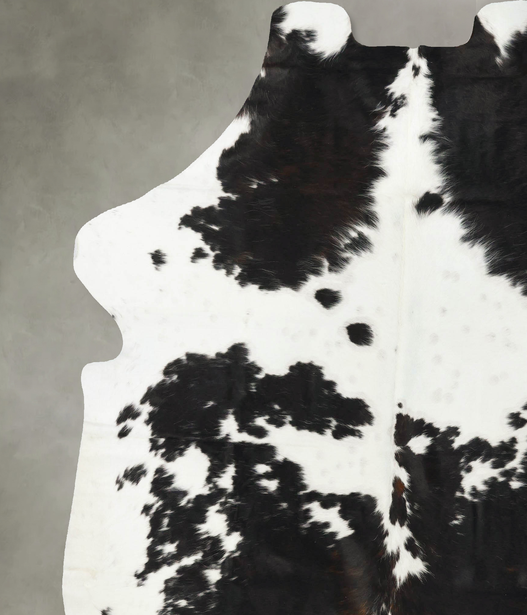 Tricolor Cowhide Rug #B23404