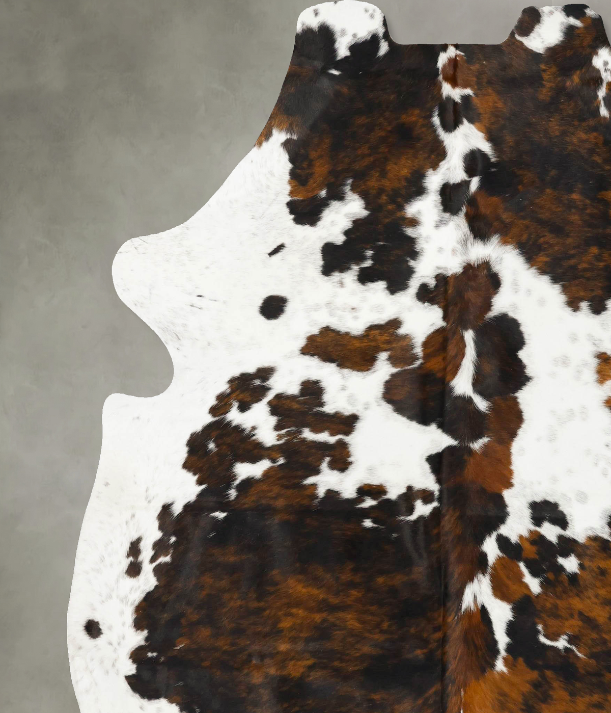 Tricolor XX-Large European Cowhide Rug 8'2"H x 6'11"W #B23406 by Hudson Hides