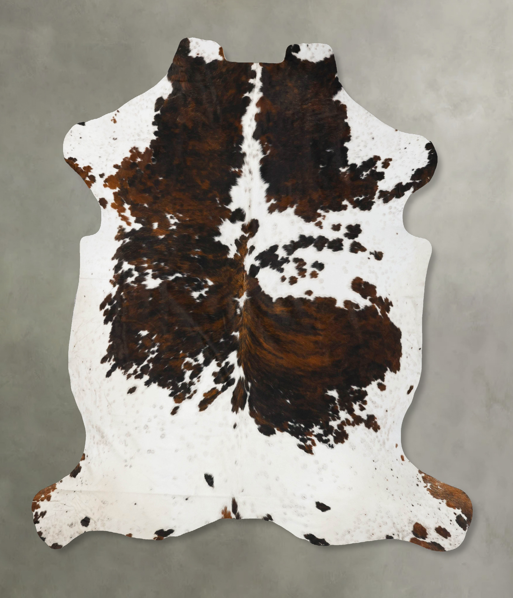 Tricolor Cowhide Rug #B23411