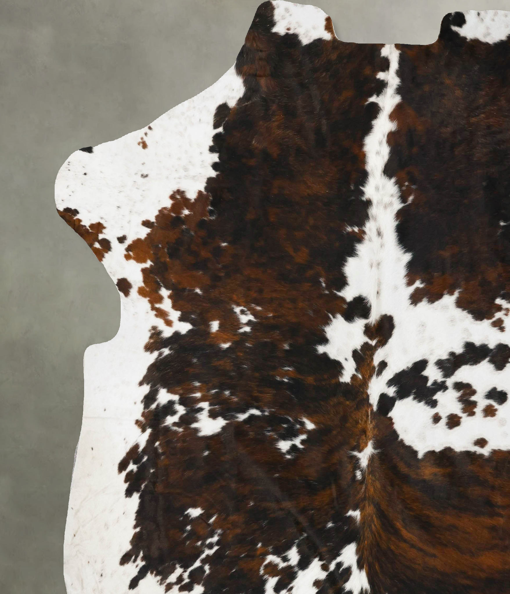 Tricolor Cowhide Rug #B23411