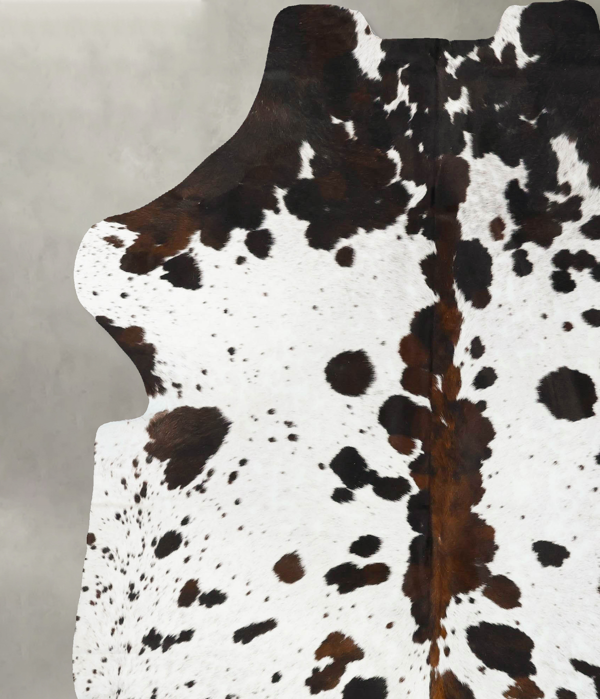 Tricolor XX-Large European Cowhide Rug 7'11"H x 6'8"W #B23415 by Hudson Hides