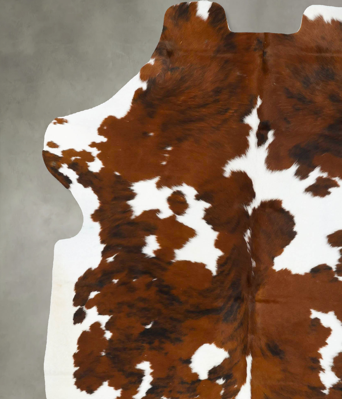 Tricolor XX-Large European Cowhide Rug 7'9"H x 6'6"W #B23419 by Hudson Hides