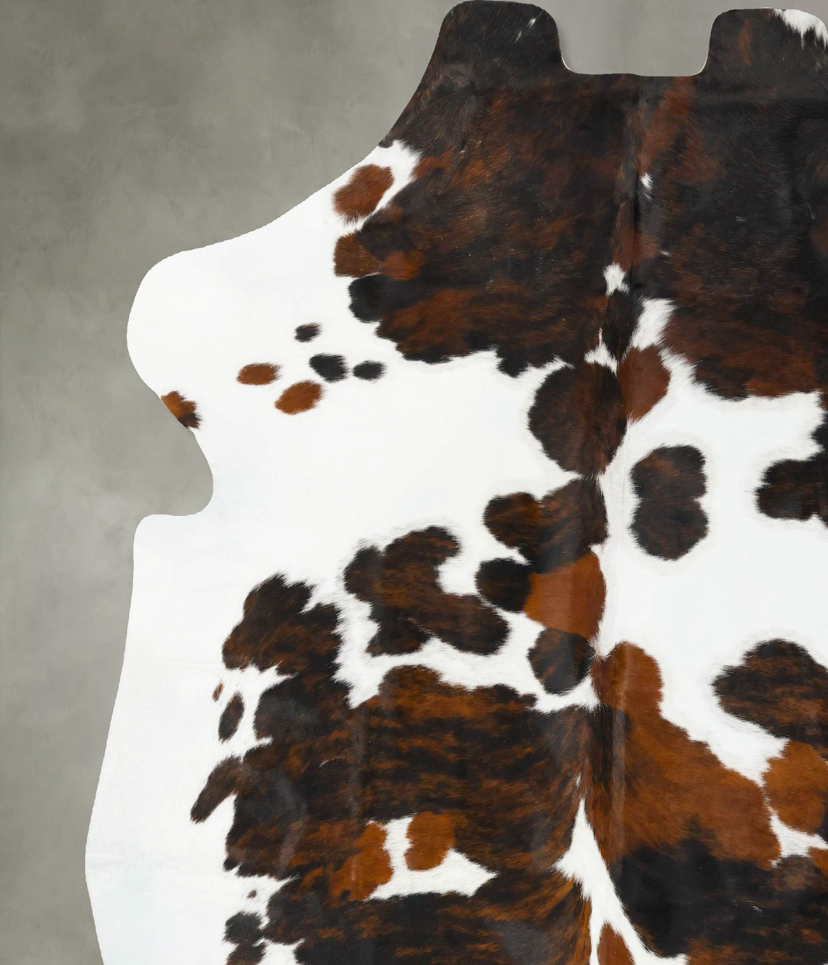 Tricolor XX-Large European Cowhide Rug 8'1"H x 7'0"W #B23421 by Hudson Hides