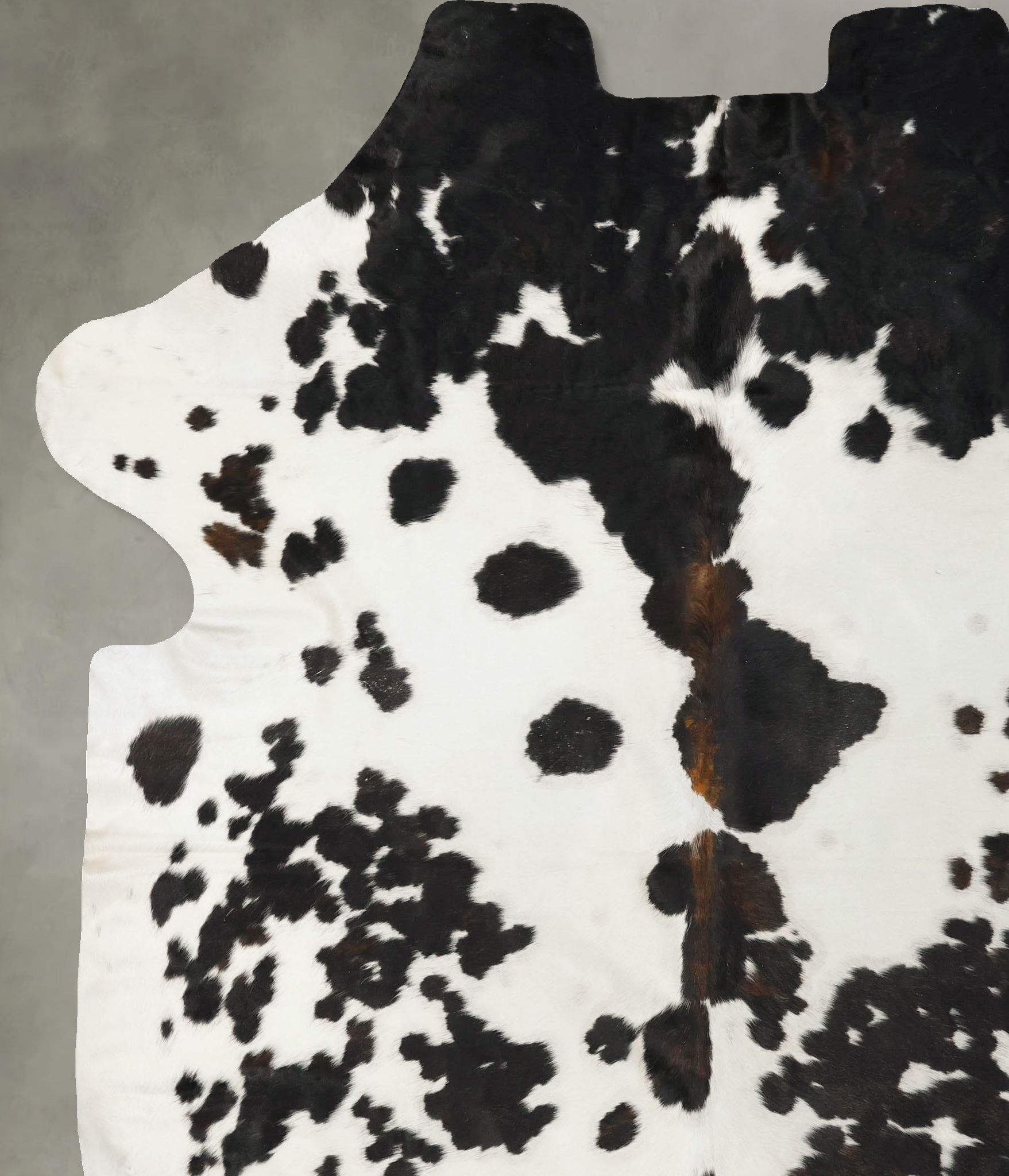 Tricolor Cowhide Rug #B23422