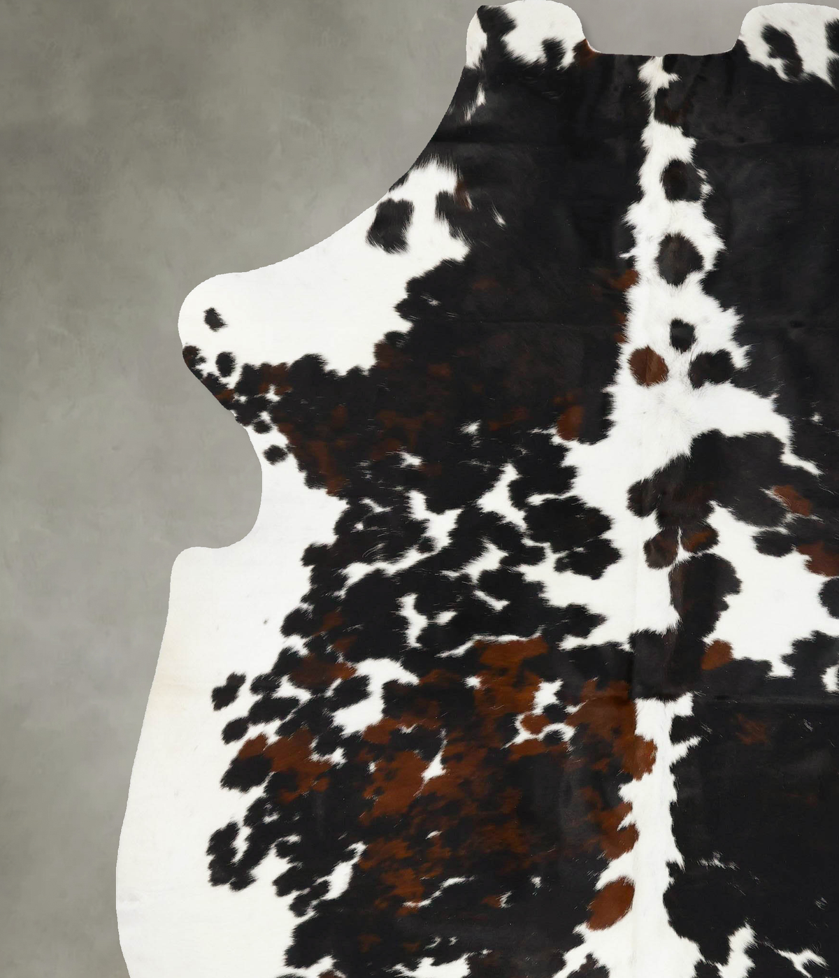 Tricolor XX-Large European Cowhide Rug 8'11"H x 6'10"W #B23423 by Hudson Hides