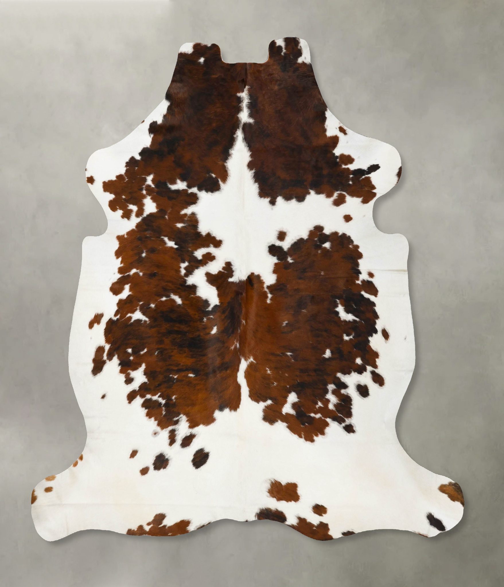 Tricolor Cowhide Rug #B23424