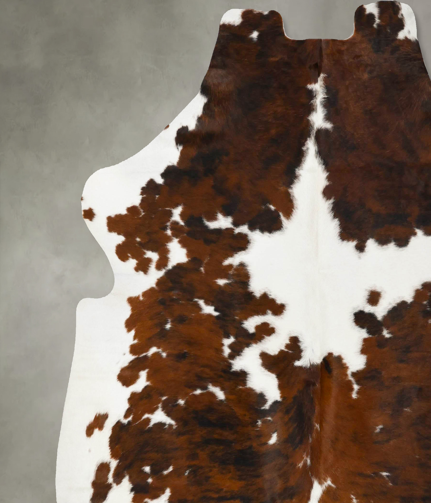 Tricolor Cowhide Rug #B23424