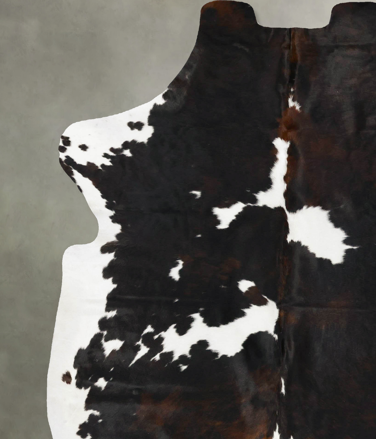 Tricolor XX-Large European Cowhide Rug 8'2"H x 6'5"W #B23425 by Hudson Hides