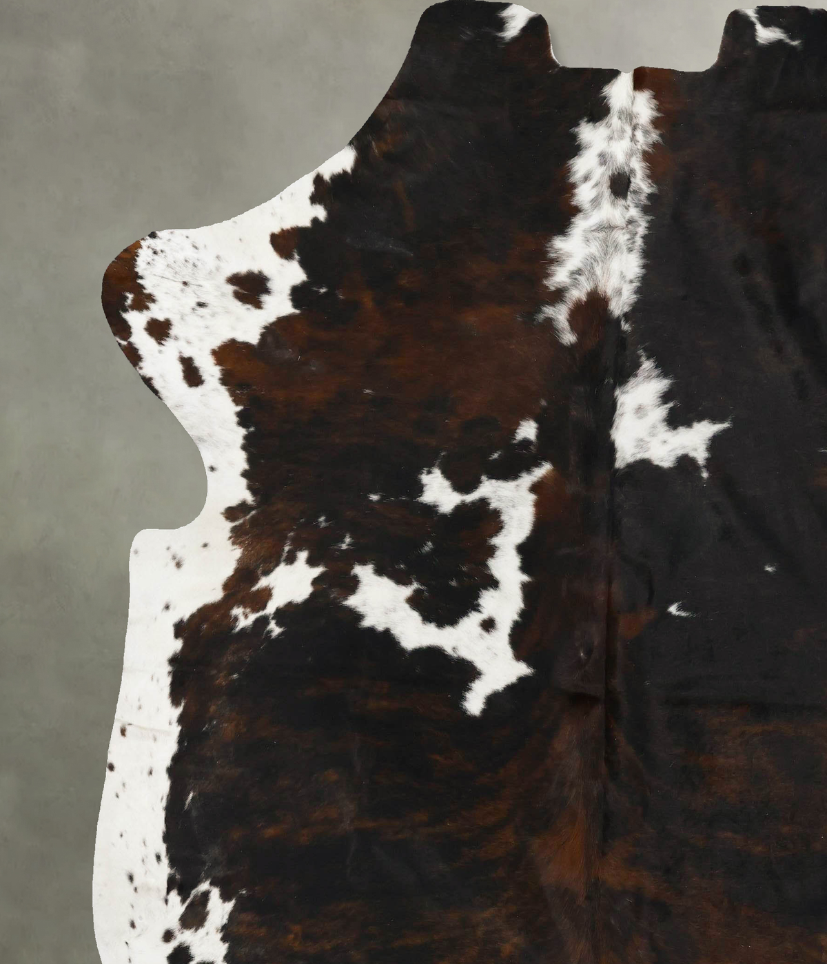 Tricolor XX-Large European Cowhide Rug 7'10"H x 7'0"W #B23426 by Hudson Hides