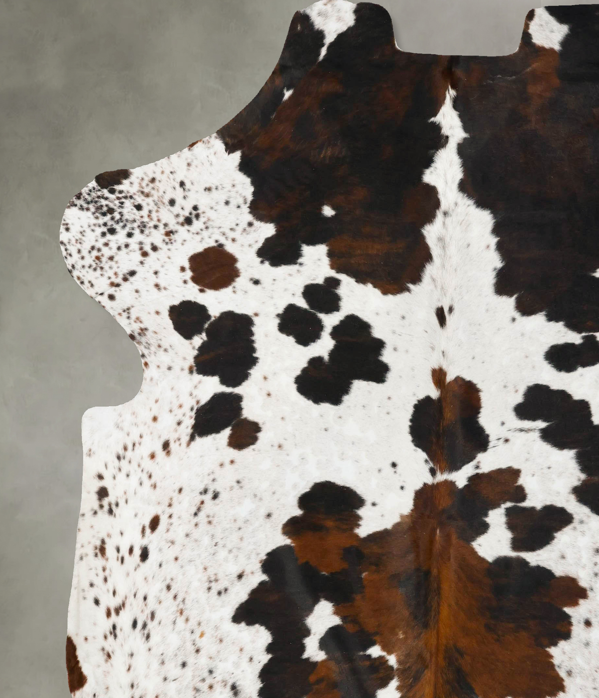 Tricolor XX-Large European Cowhide Rug 7'10"H x 7'2"W #B23430 by Hudson Hides