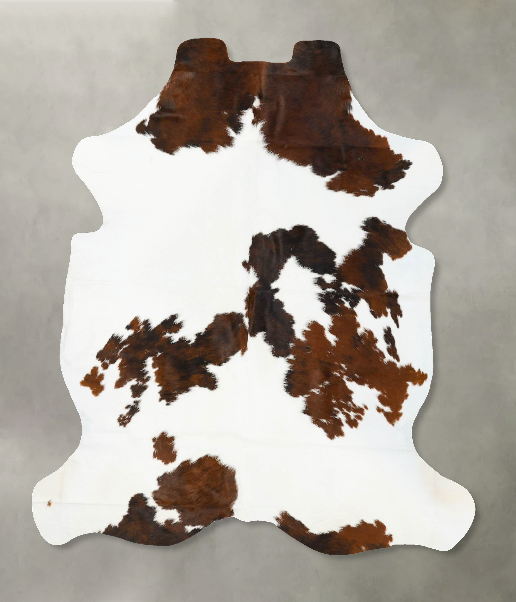 Tricolor Cowhide Rug #B23432