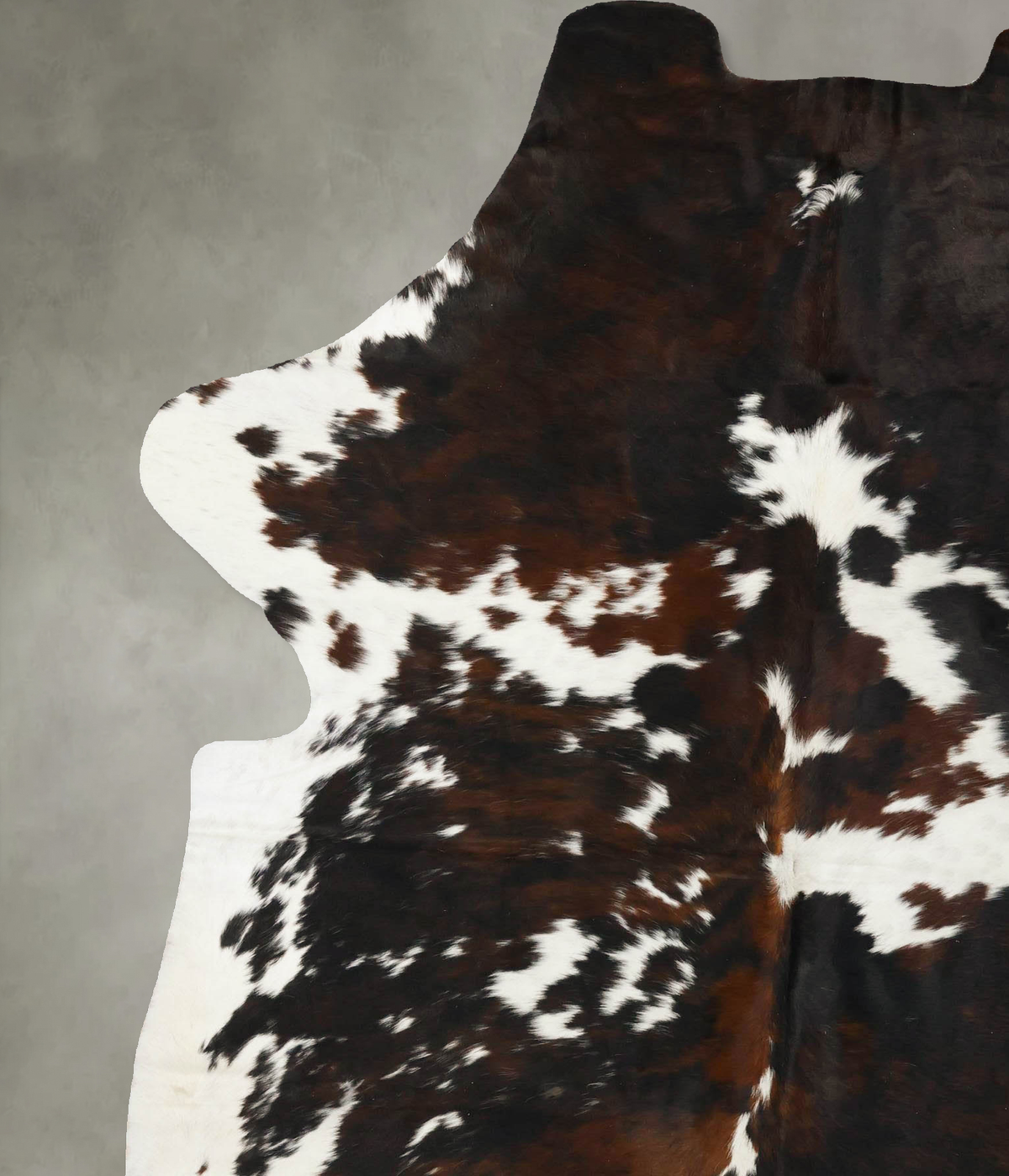 Tricolor X-Large European Cowhide Rug 8'1"H x 6'0"W #B23433 by Hudson Hides