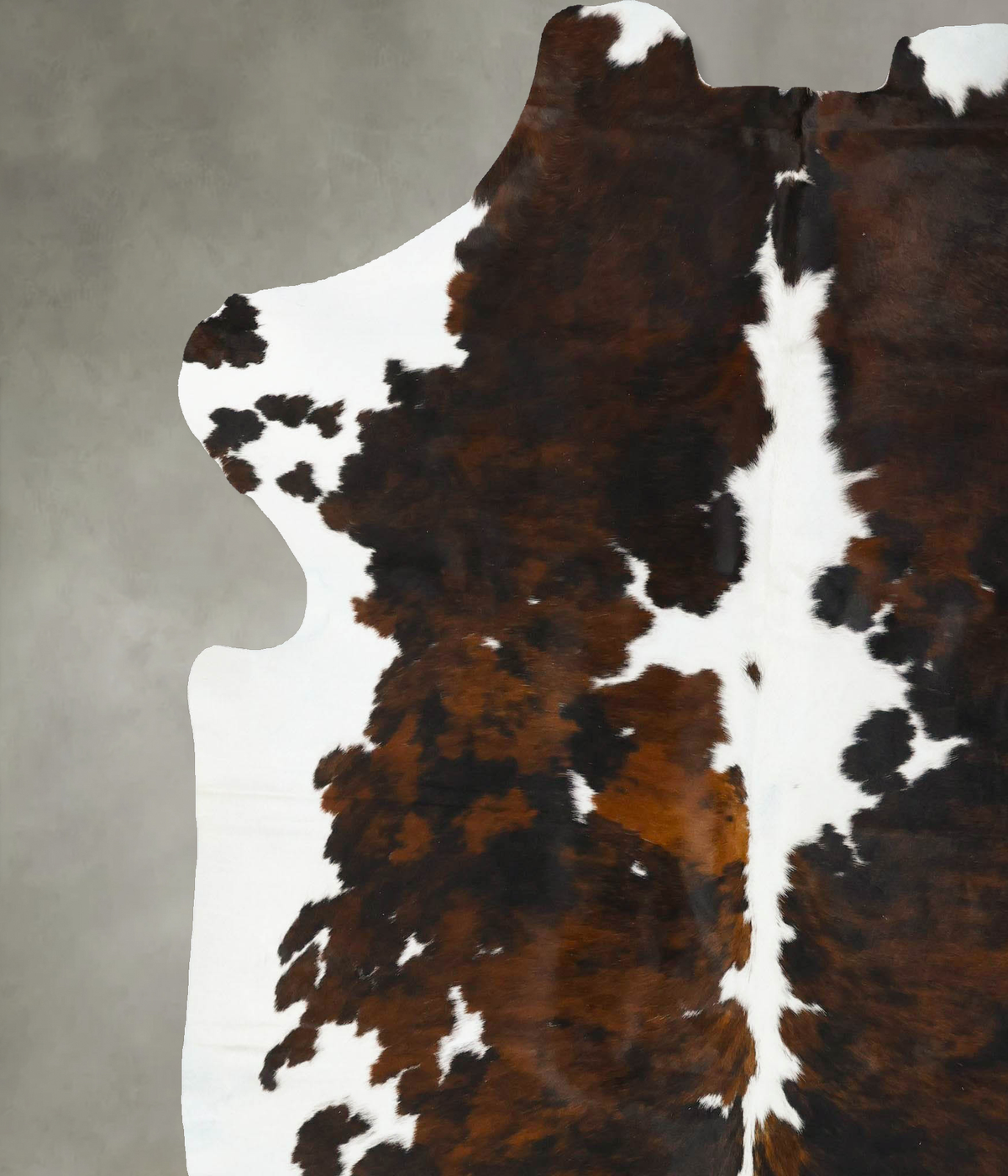 Tricolor XX-Large European Cowhide Rug 8'1"H x 6'10"W #B23435 by Hudson Hides