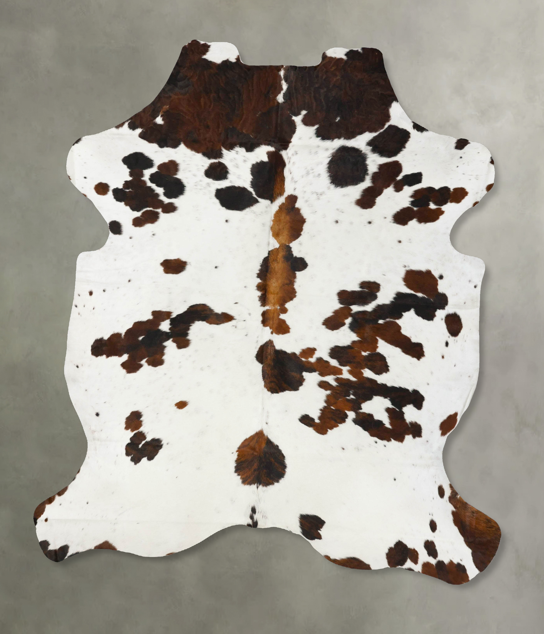 Tricolor Cowhide Rug #B23436