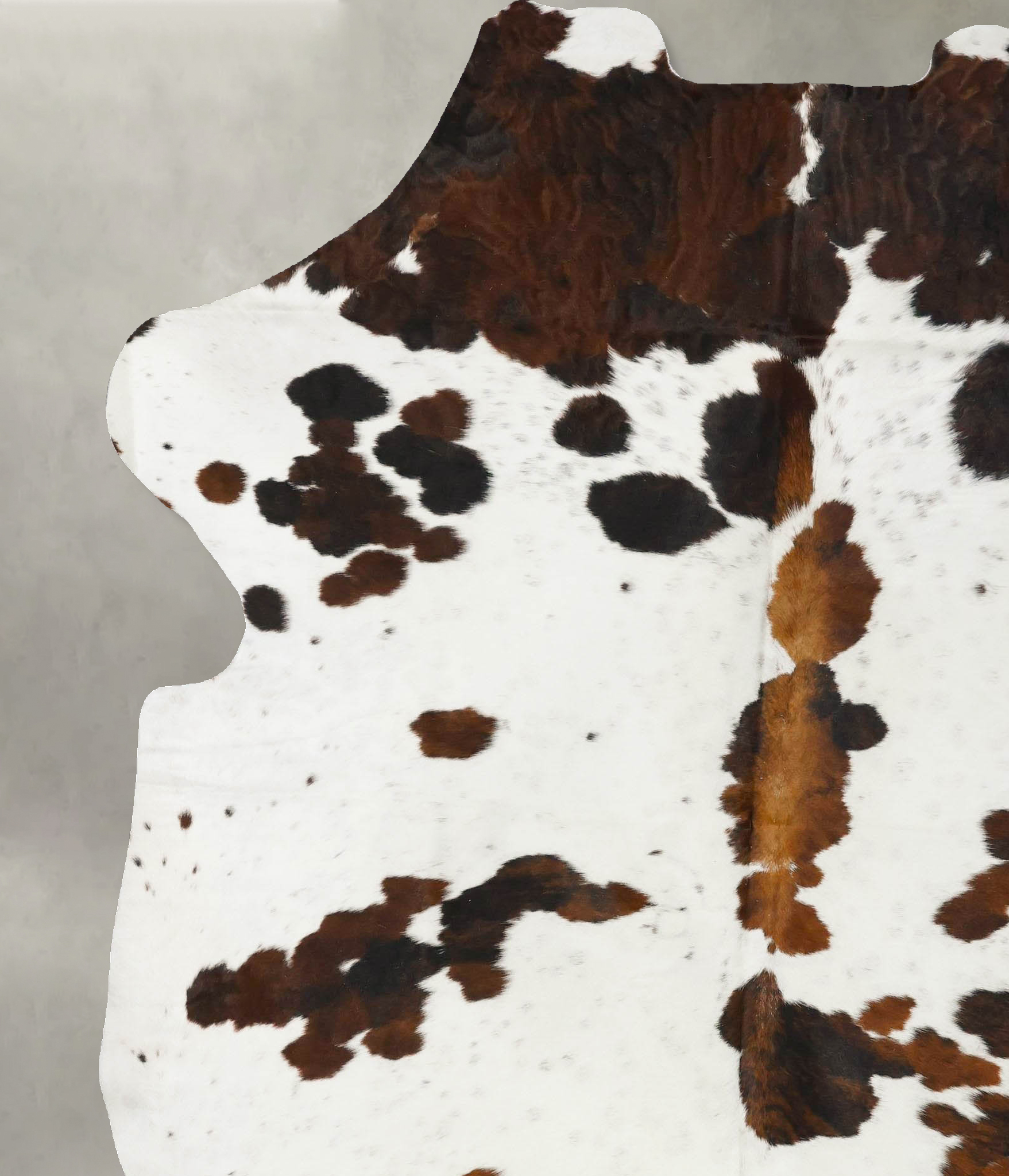 Tricolor Cowhide Rug #B23436